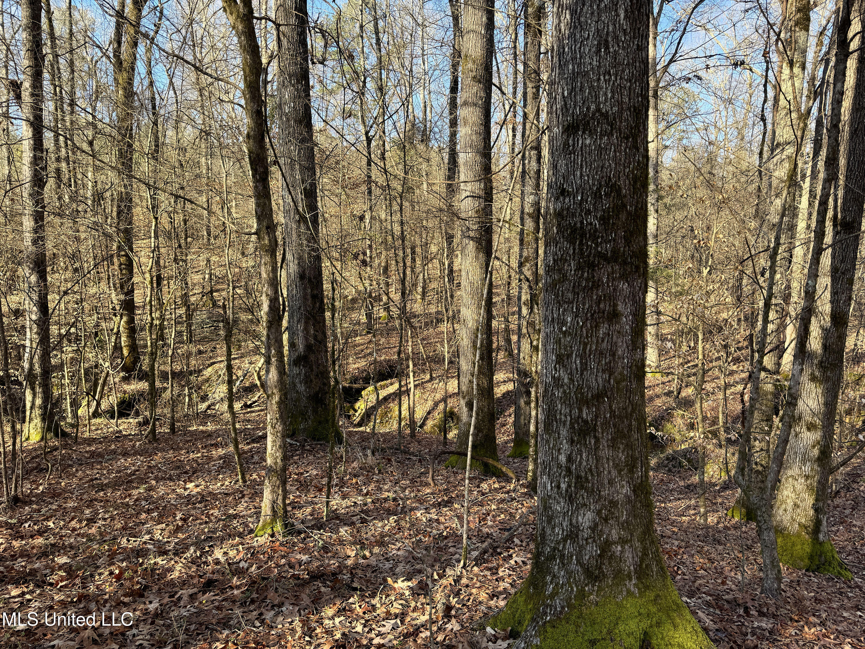 Hickory Ridge Road Property Photo 32