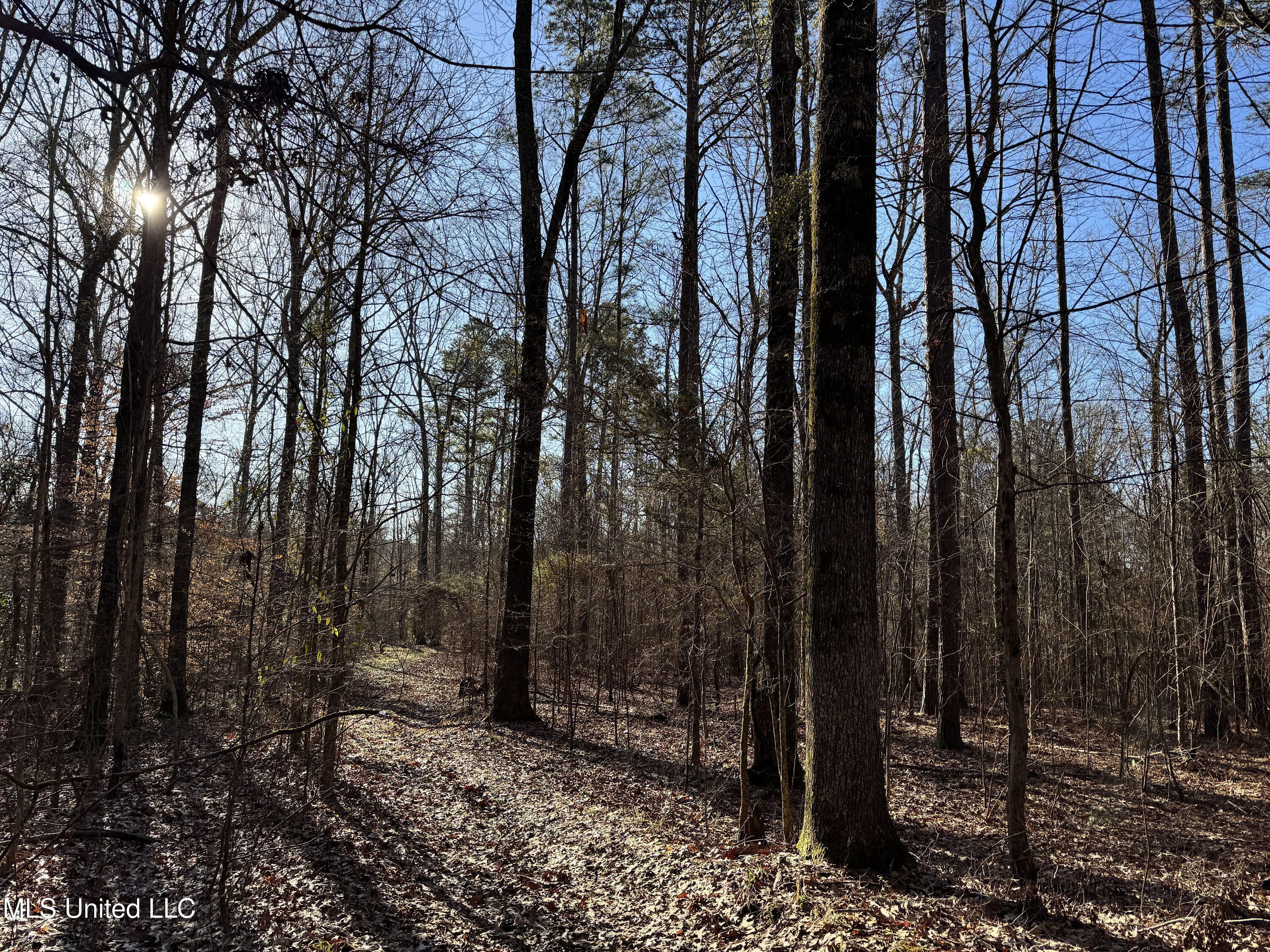 Hickory Ridge Road Property Photo 33