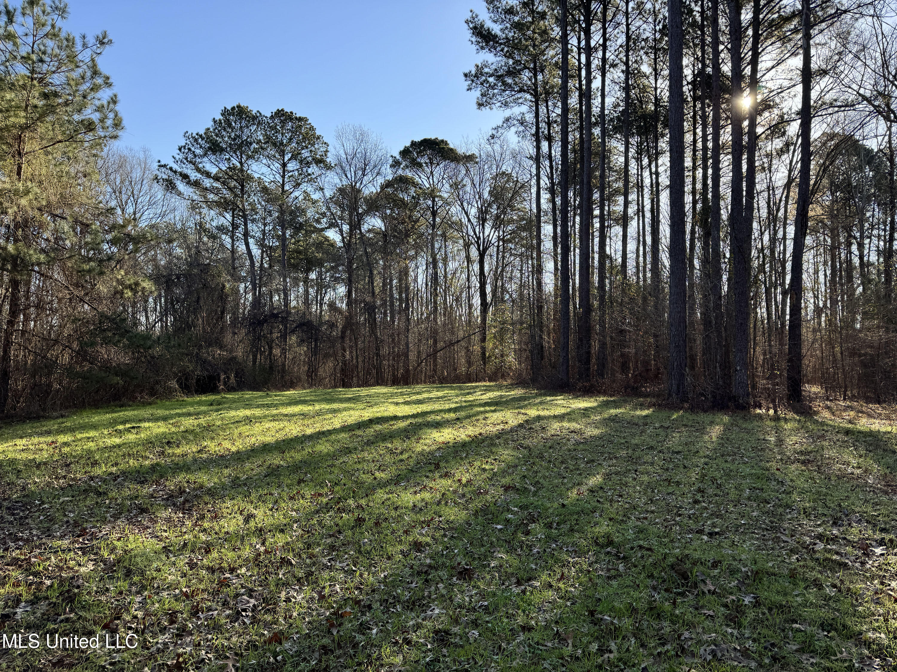Hickory Ridge Road Property Photo 34