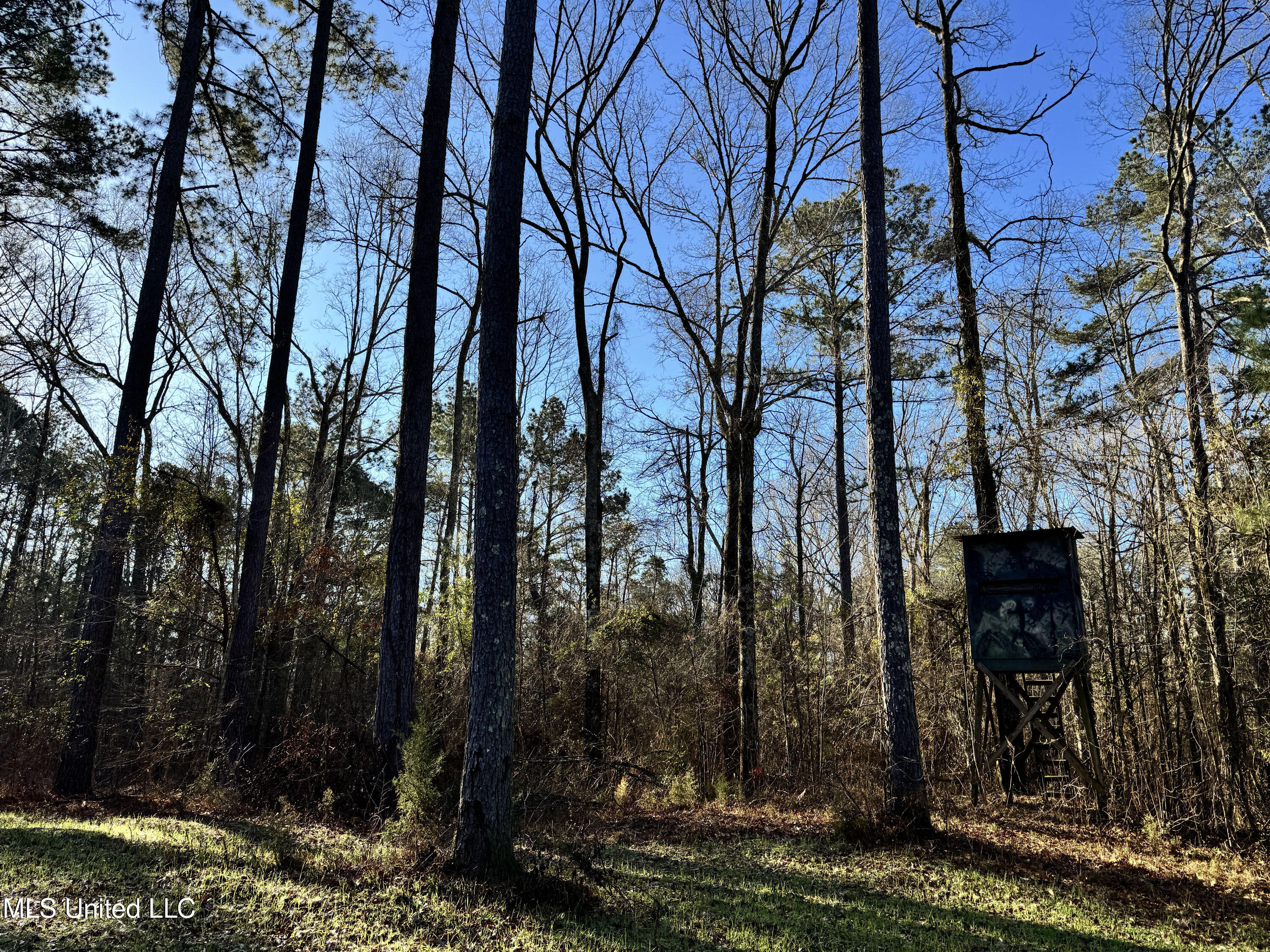 Hickory Ridge Road Property Photo 35