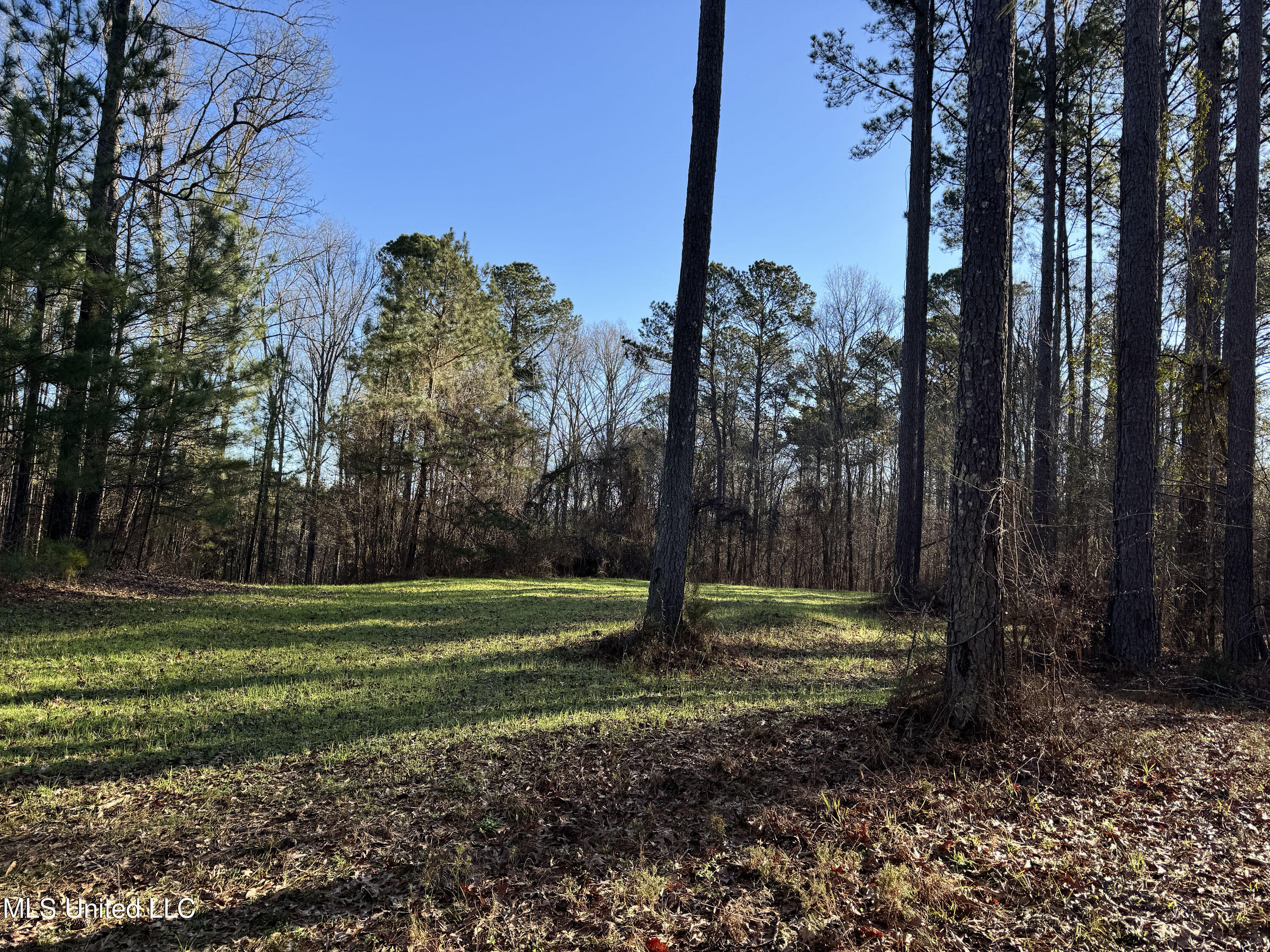 Hickory Ridge Road Property Photo 36