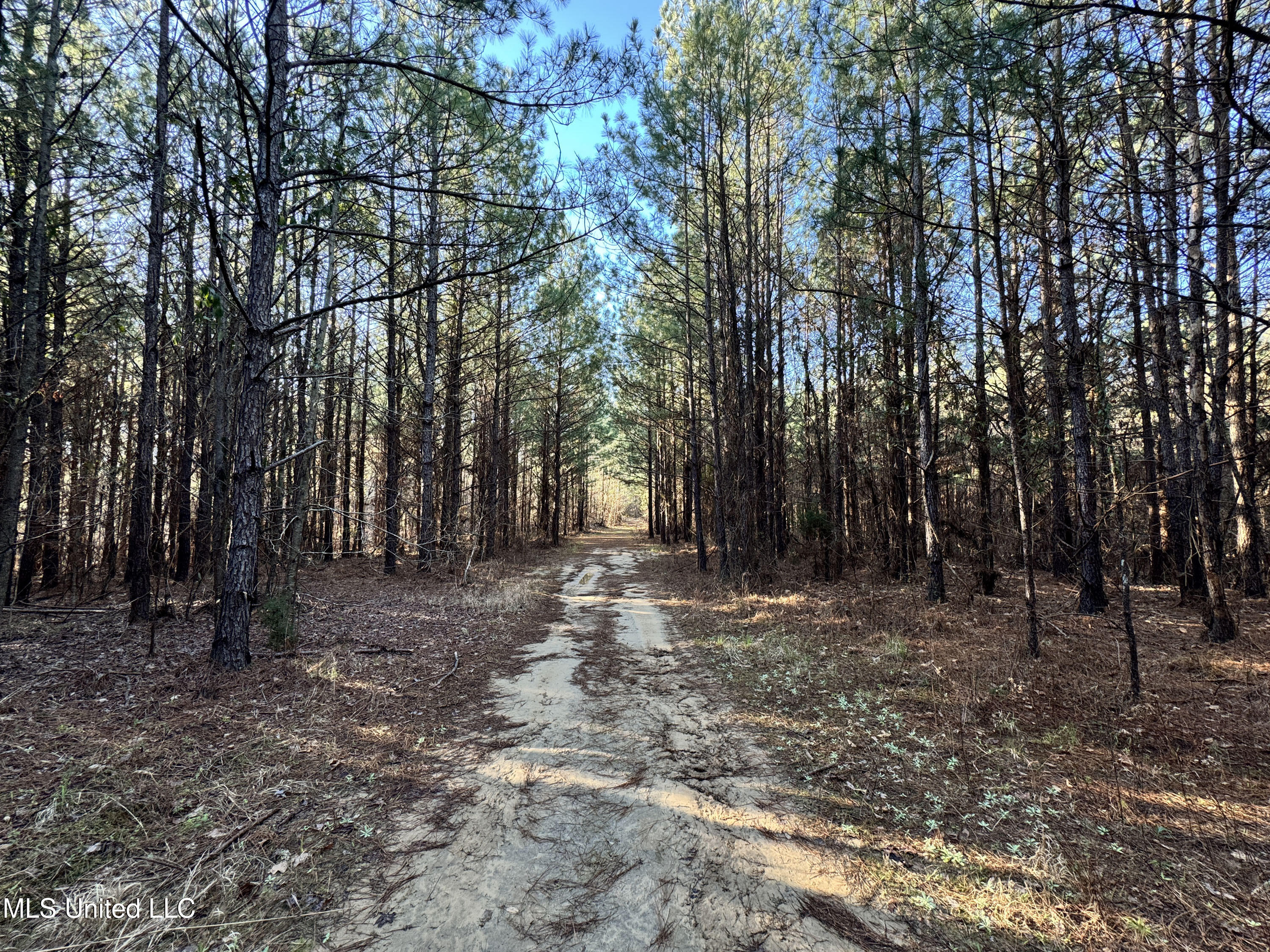 Hickory Ridge Road Property Photo 37