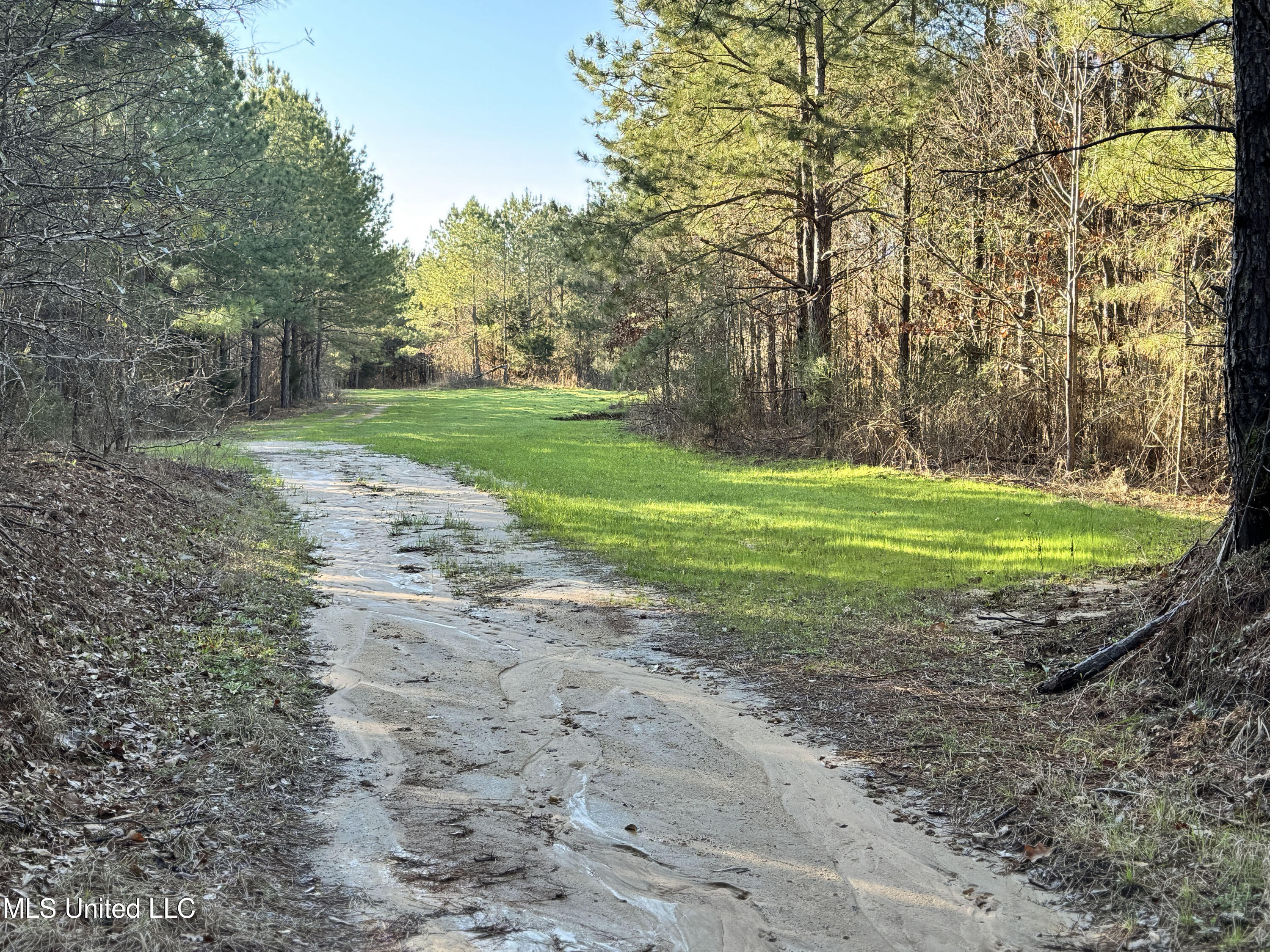 Hickory Ridge Road Property Photo 38