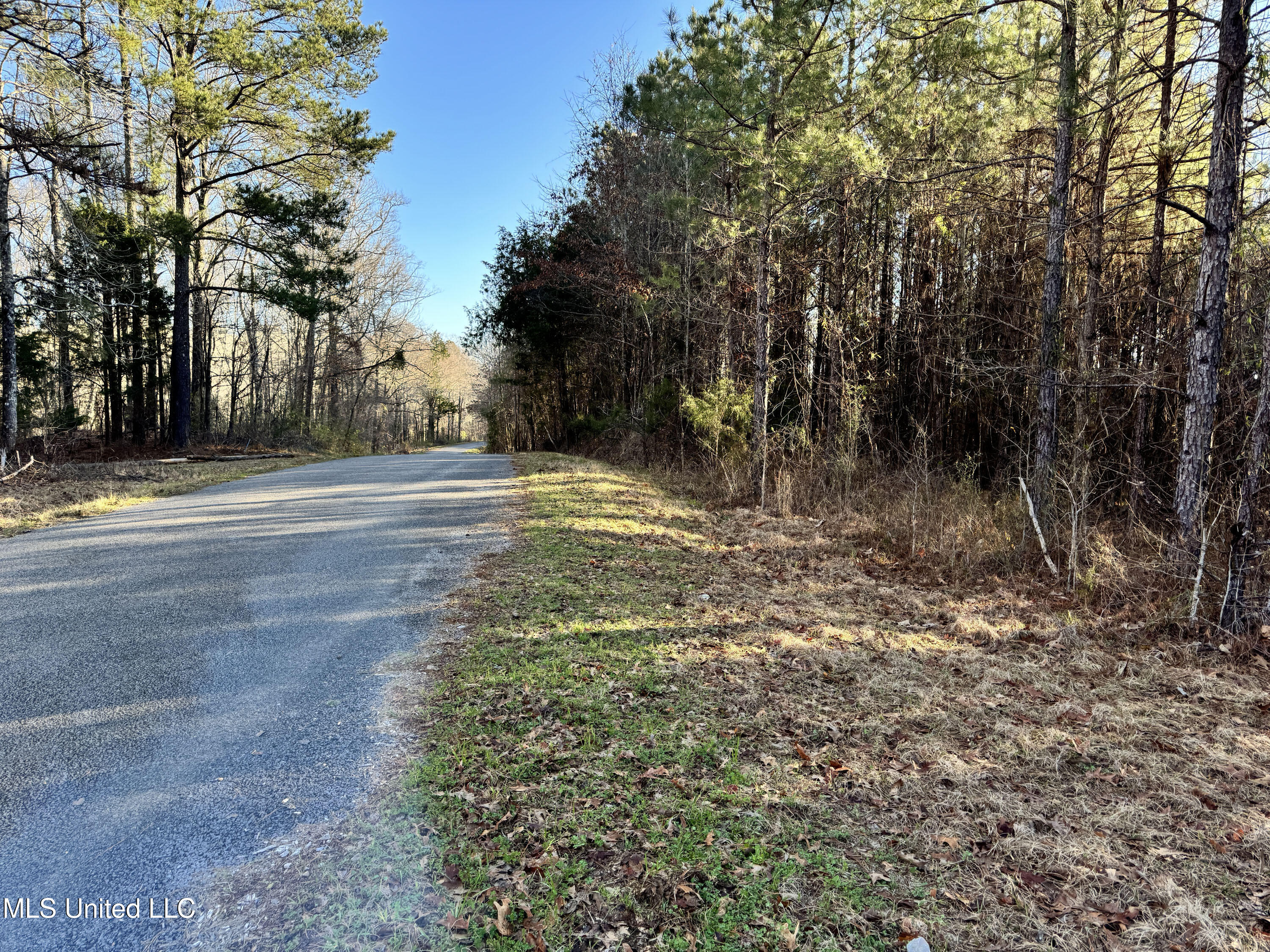 Hickory Ridge Road Property Photo 40
