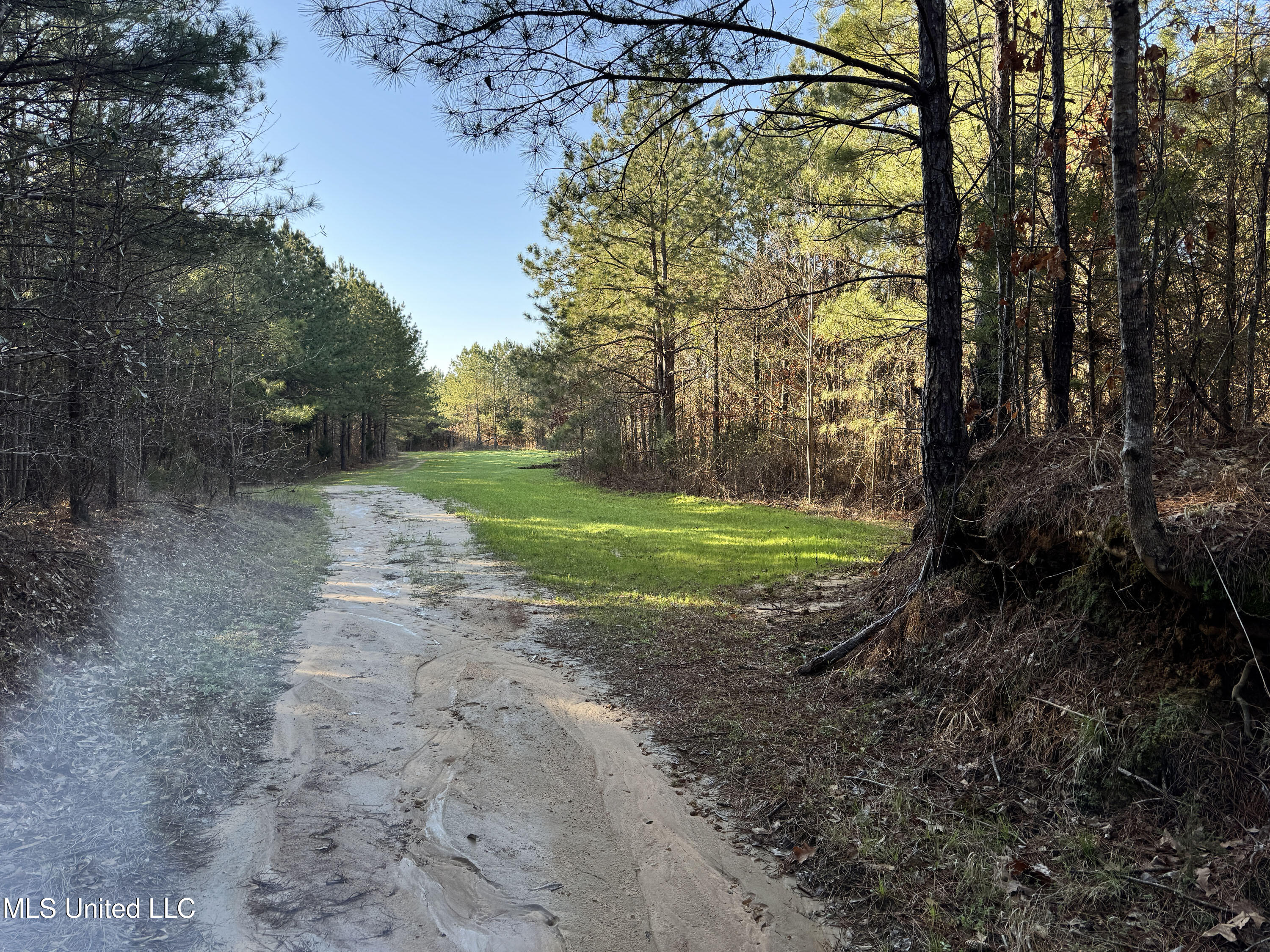 Hickory Ridge Road Property Photo 41
