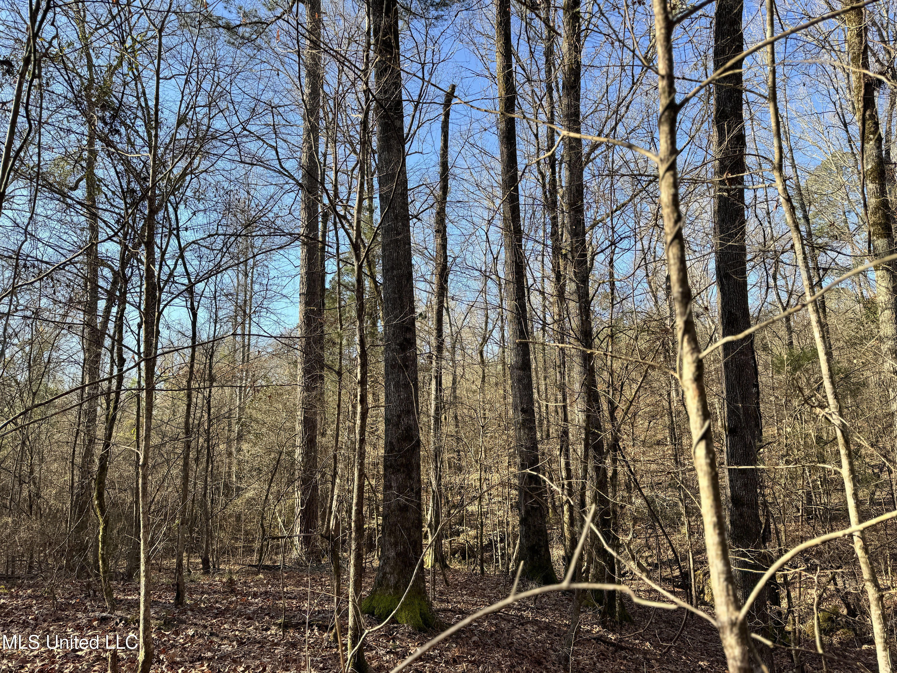 Hickory Ridge Road Property Photo 42