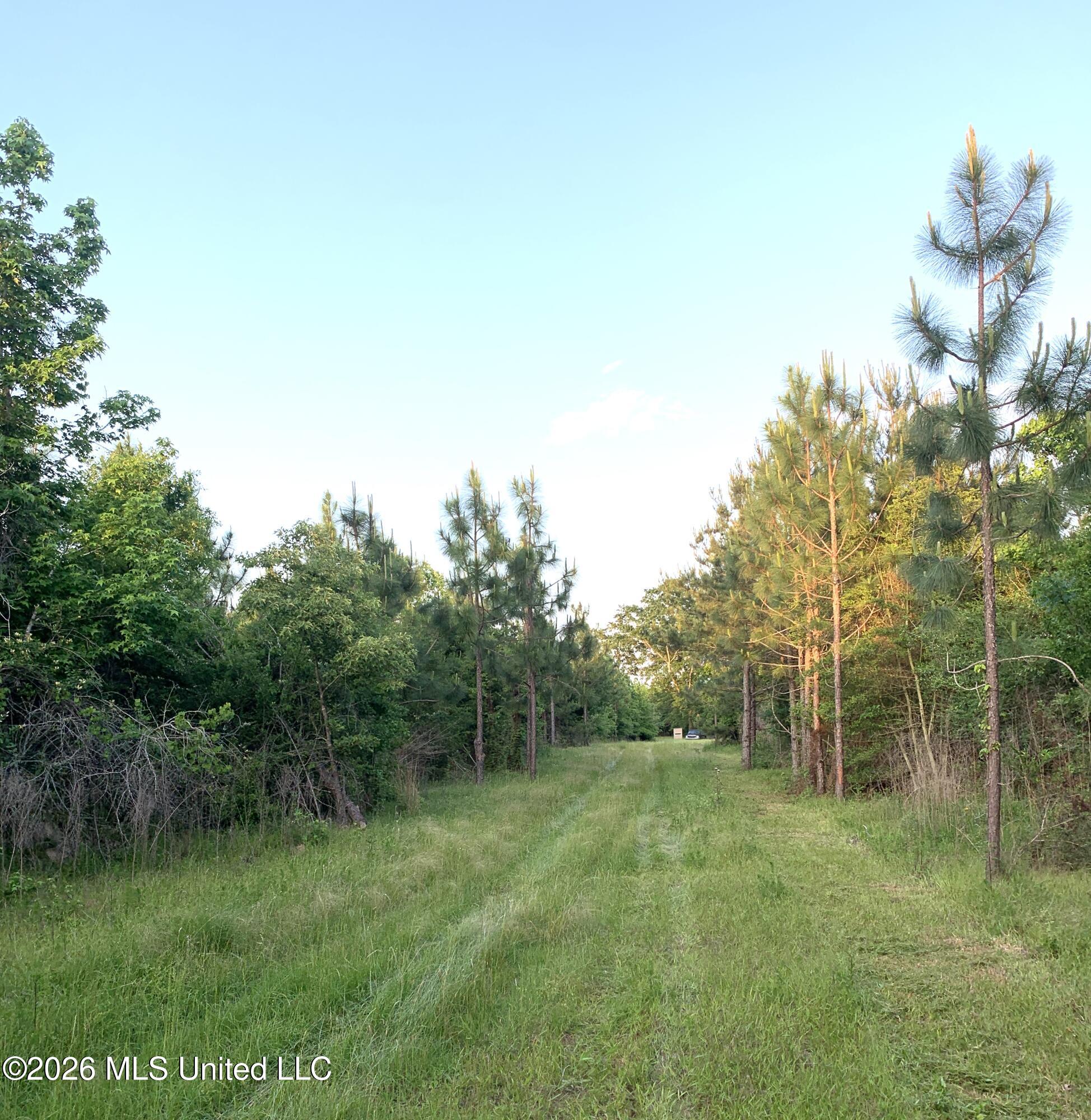 000 Griffin Road Property Photo 10