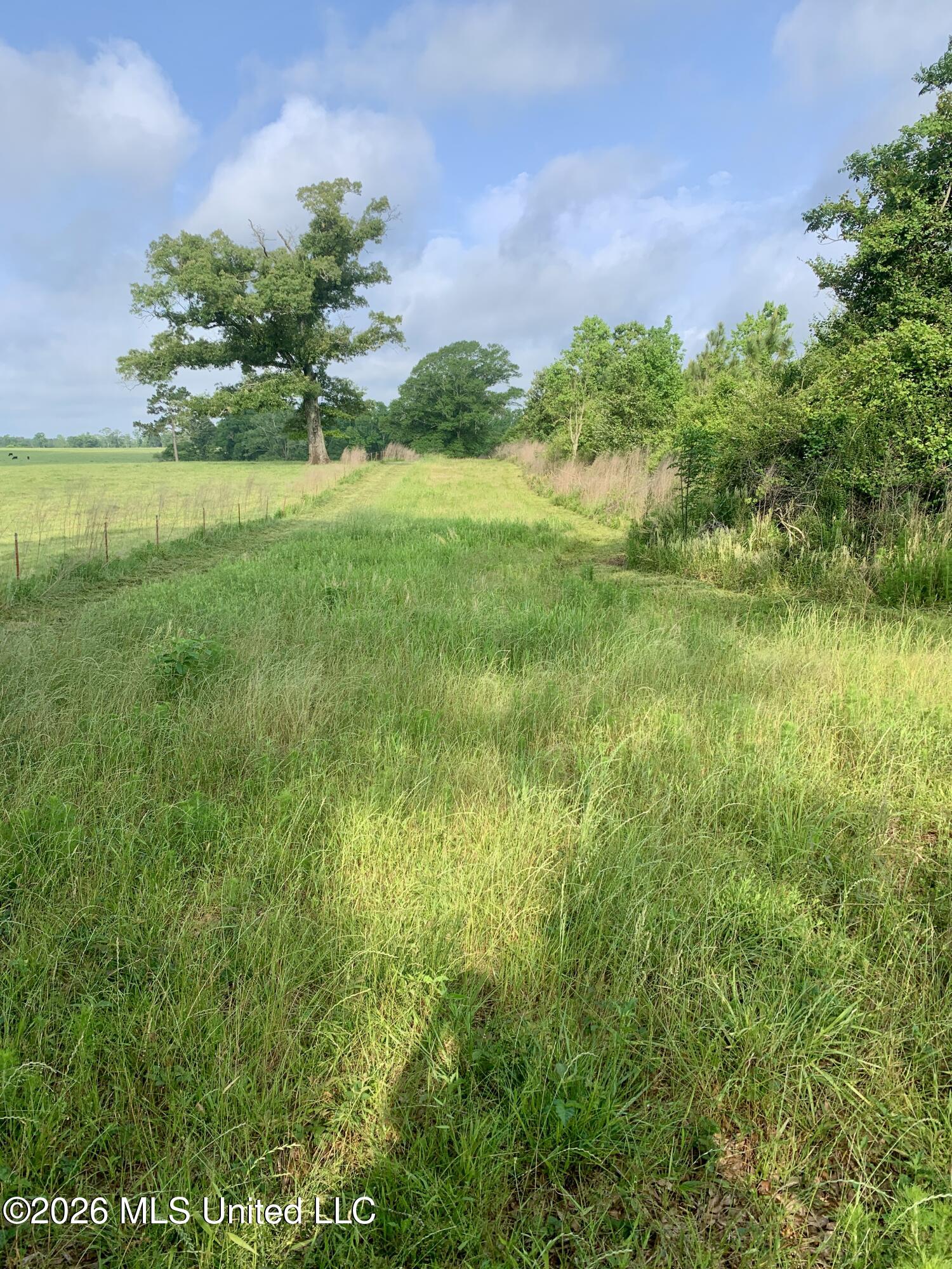000 Griffin Road Property Photo 14