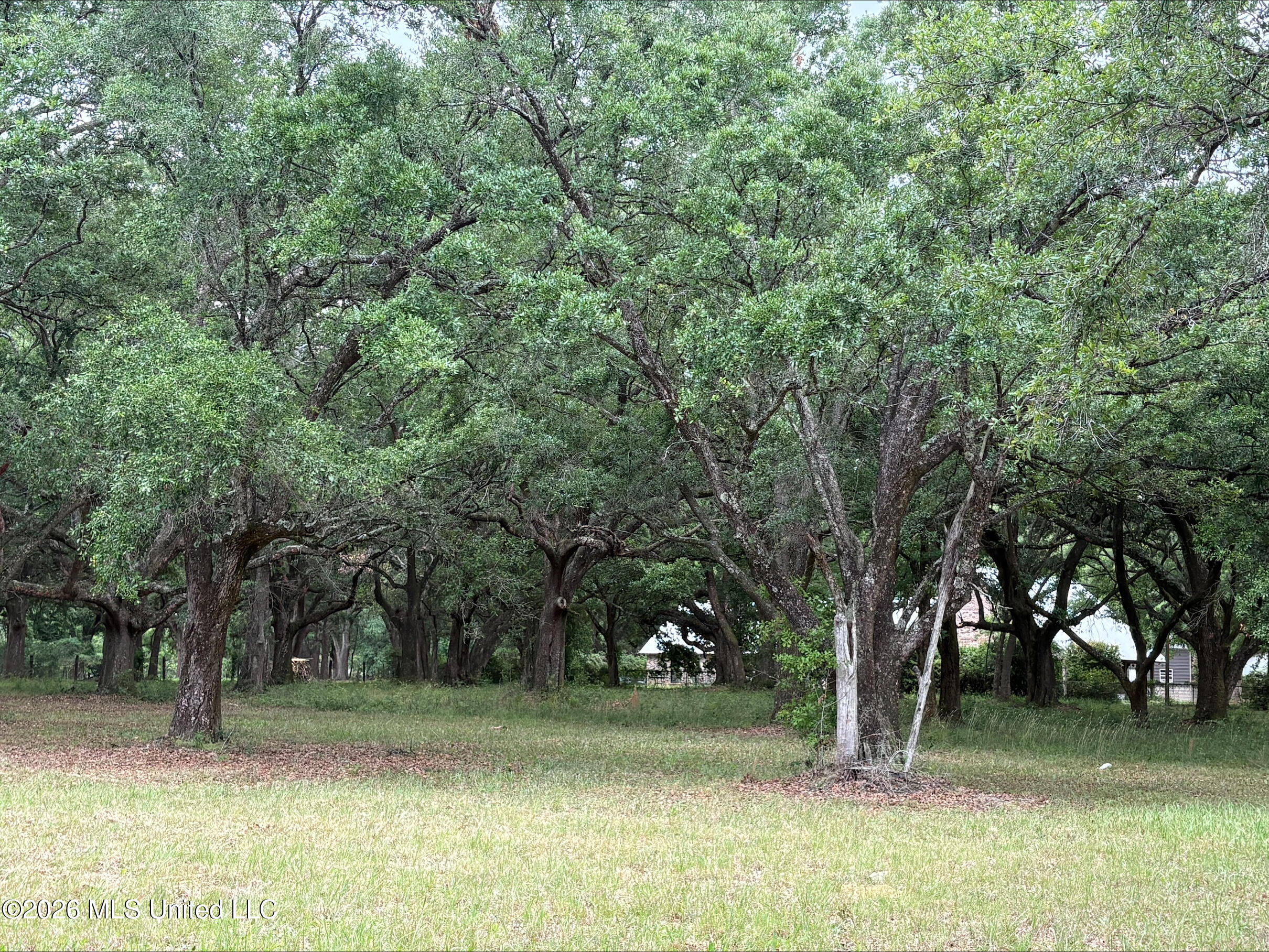 Dedeaux Clan Road Property Photo 2