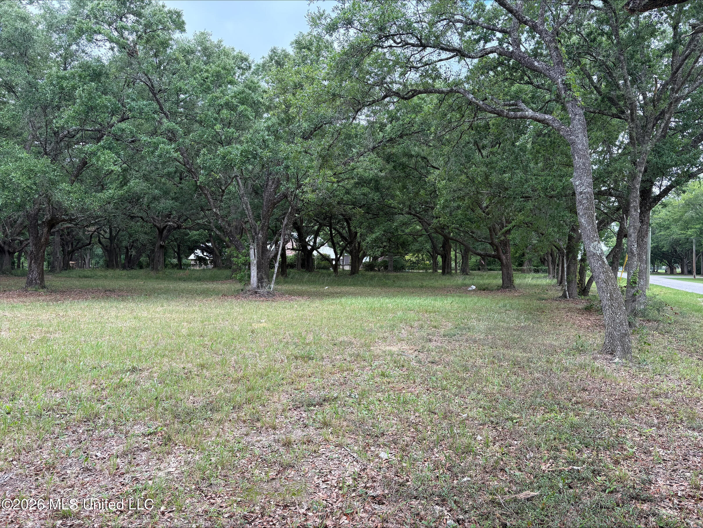 Dedeaux Clan Road Property Photo 5