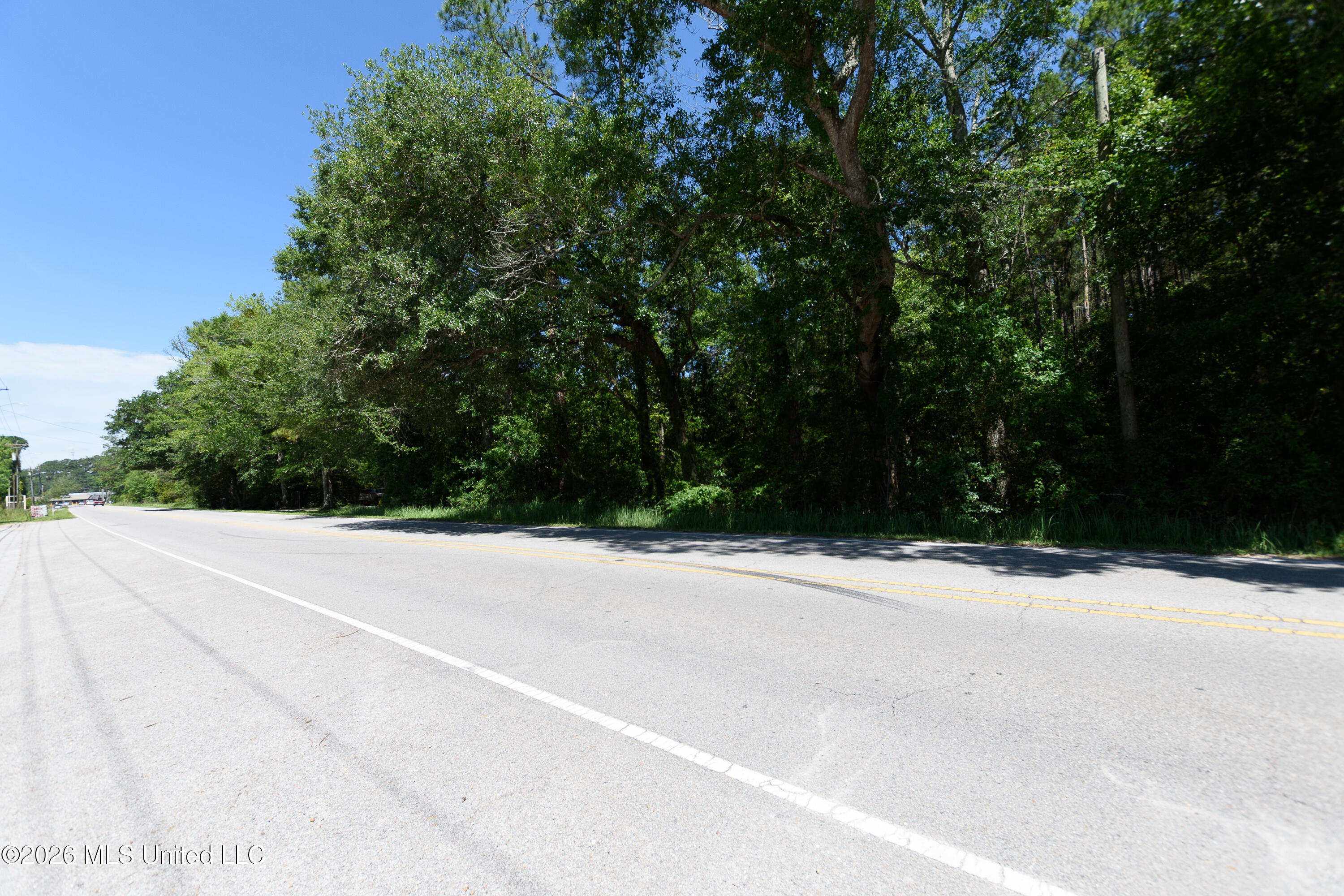 E Saracennia Road Property Photo 1