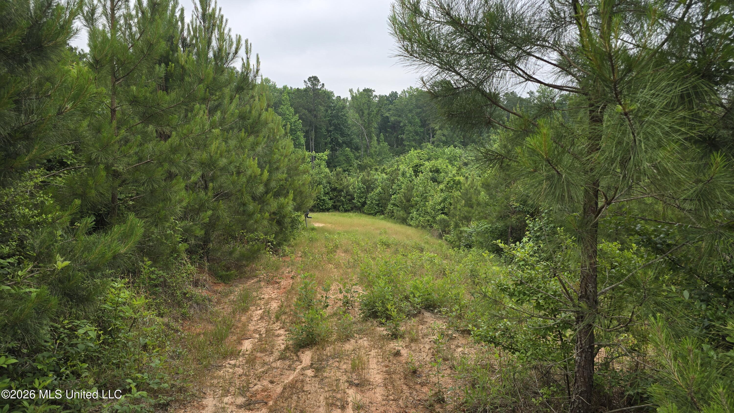 189 Co Rd 2337 Property Photo 3