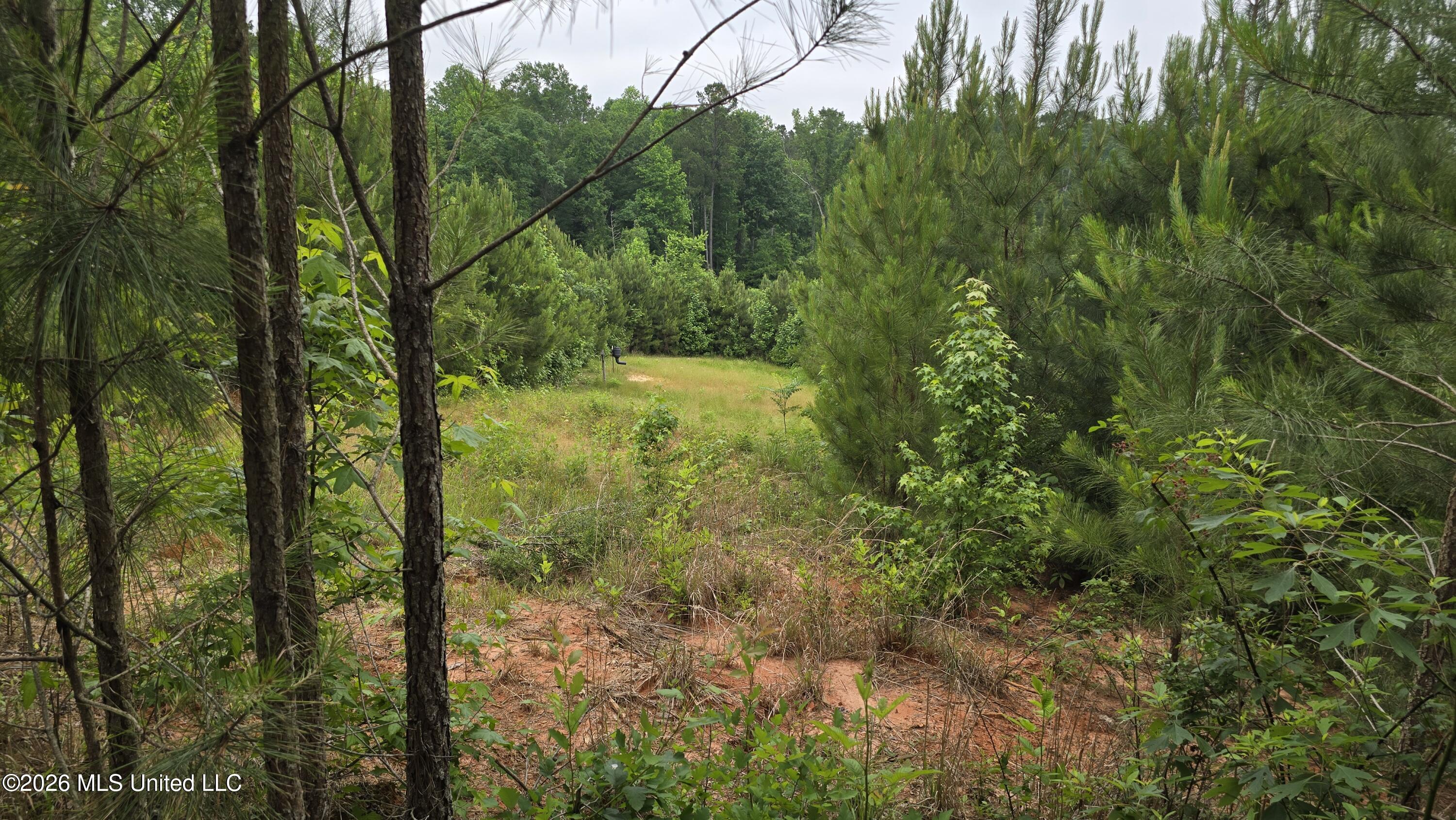 189 Co Rd 2337 Property Photo 4