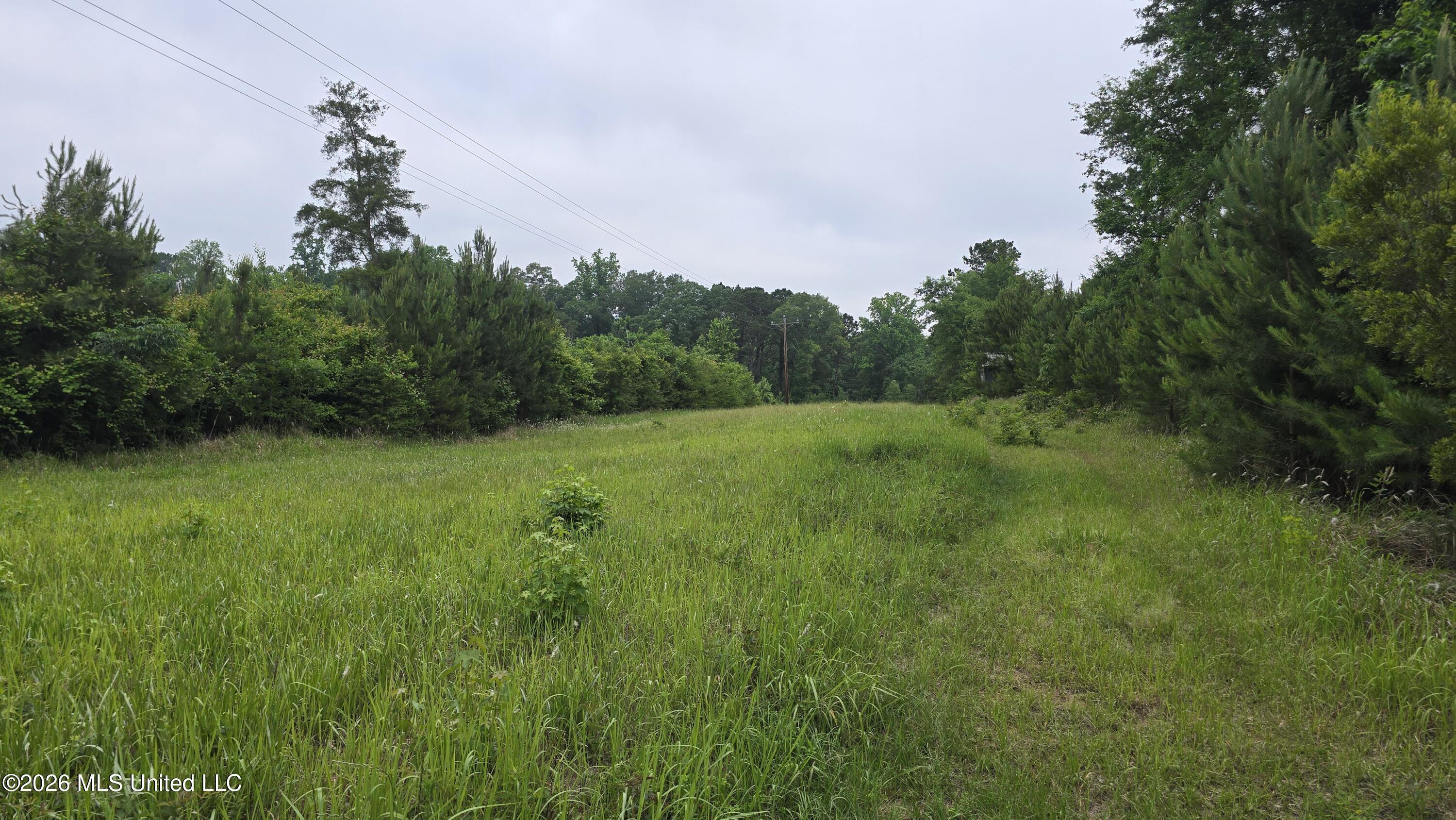 189 Co Rd 2337 Property Photo 7
