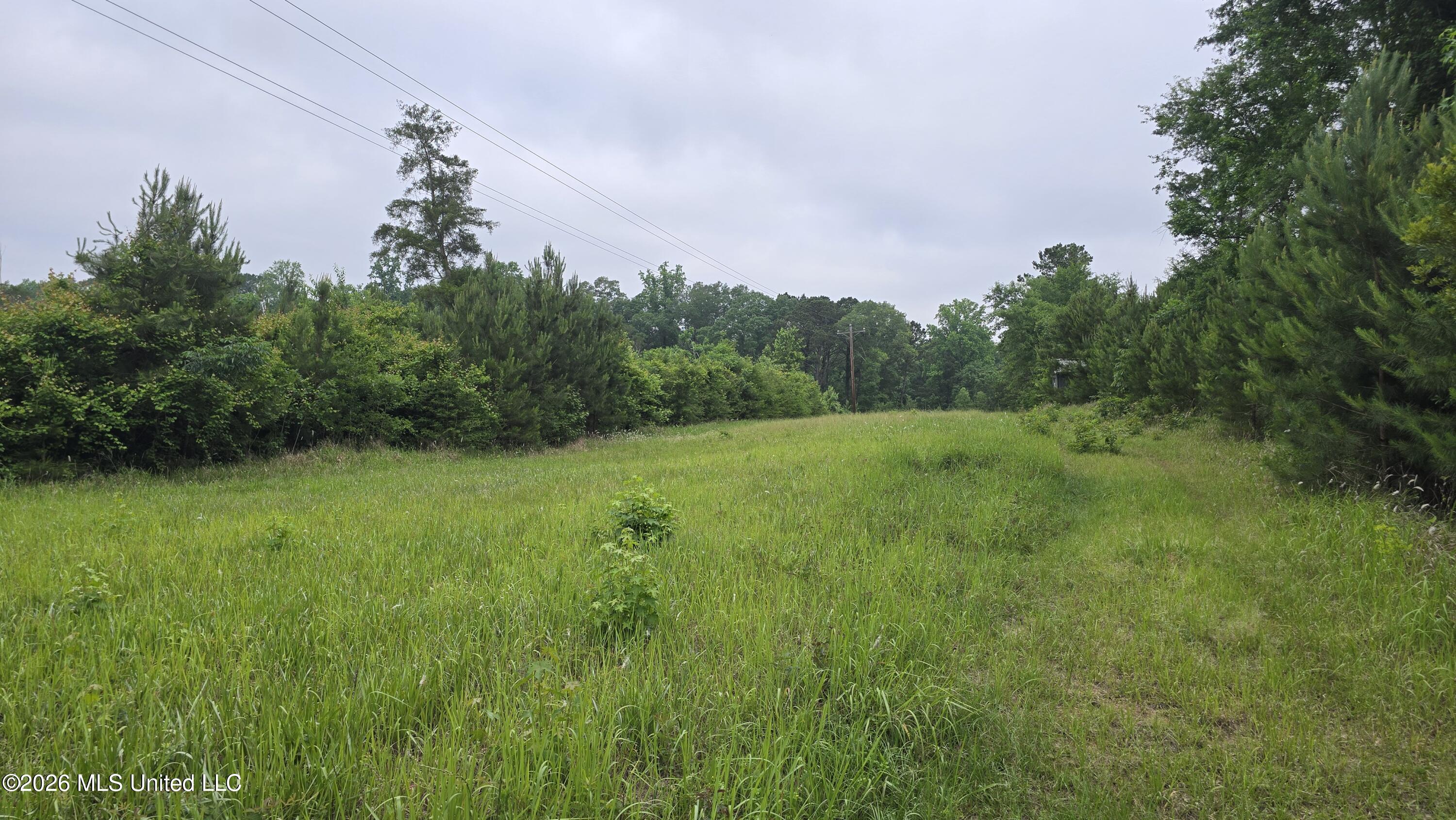 189 Co Rd 2337 Property Photo 8
