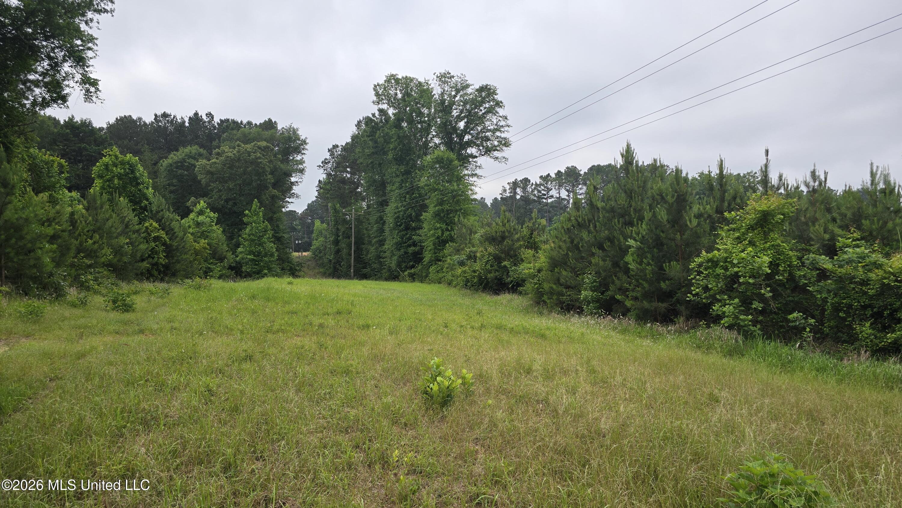189 Co Rd 2337 Property Photo 11