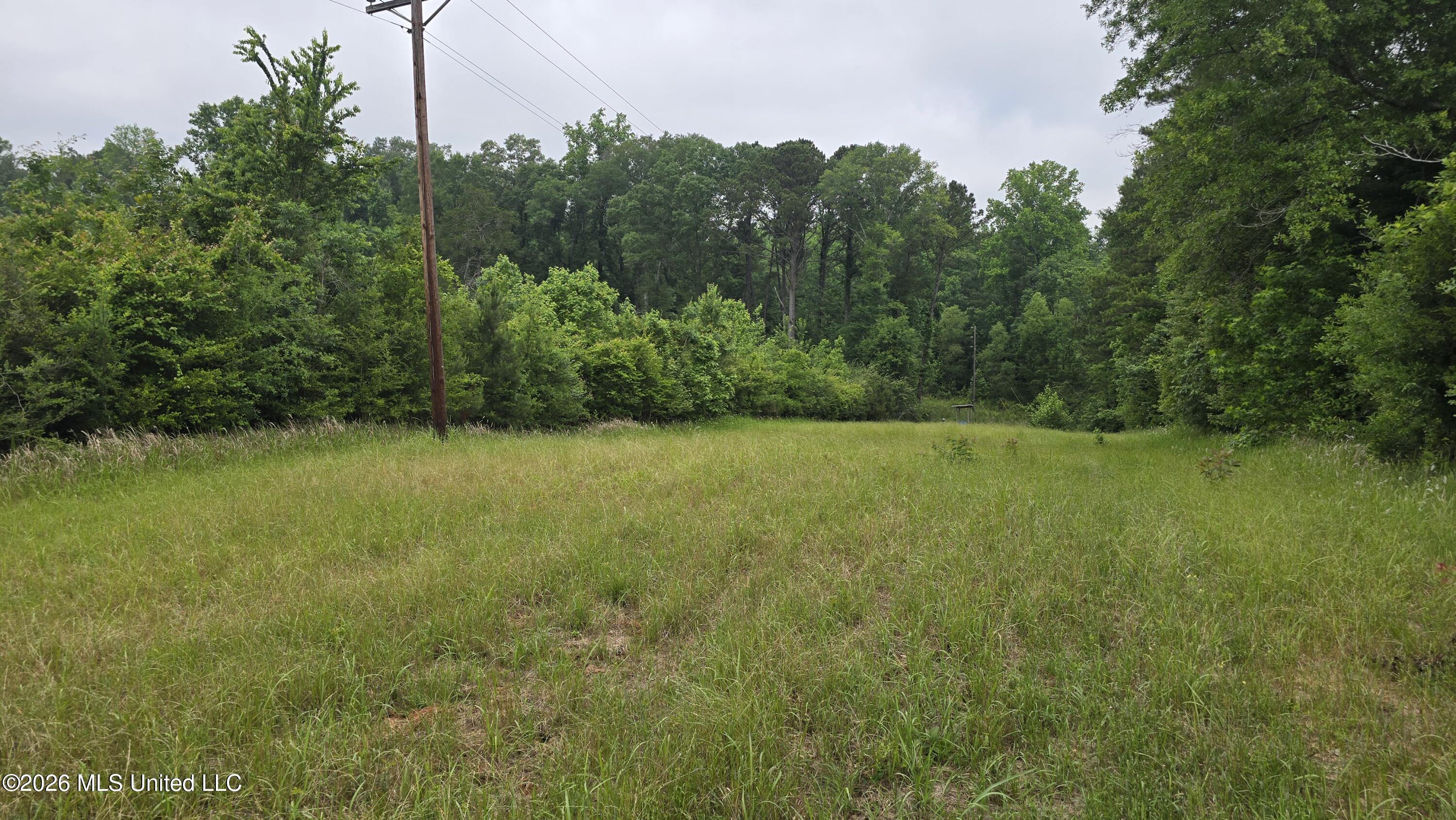 189 Co Rd 2337 Property Photo 12