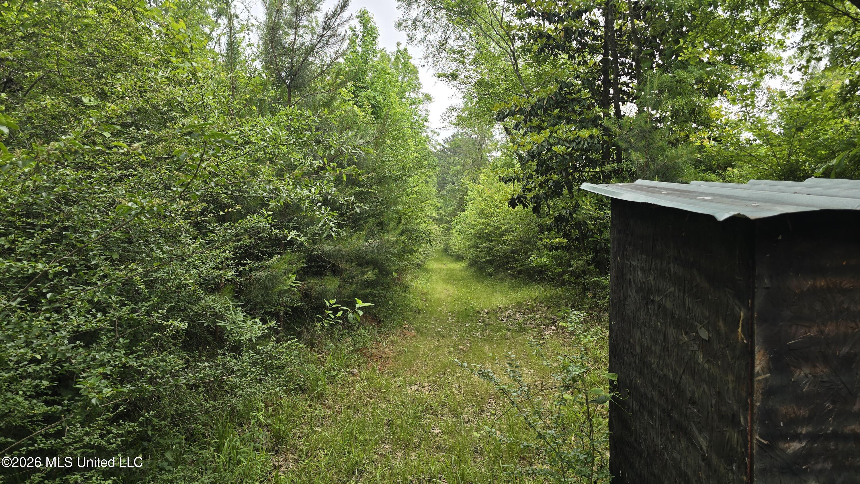 189 Co Rd 2337 Property Photo 13