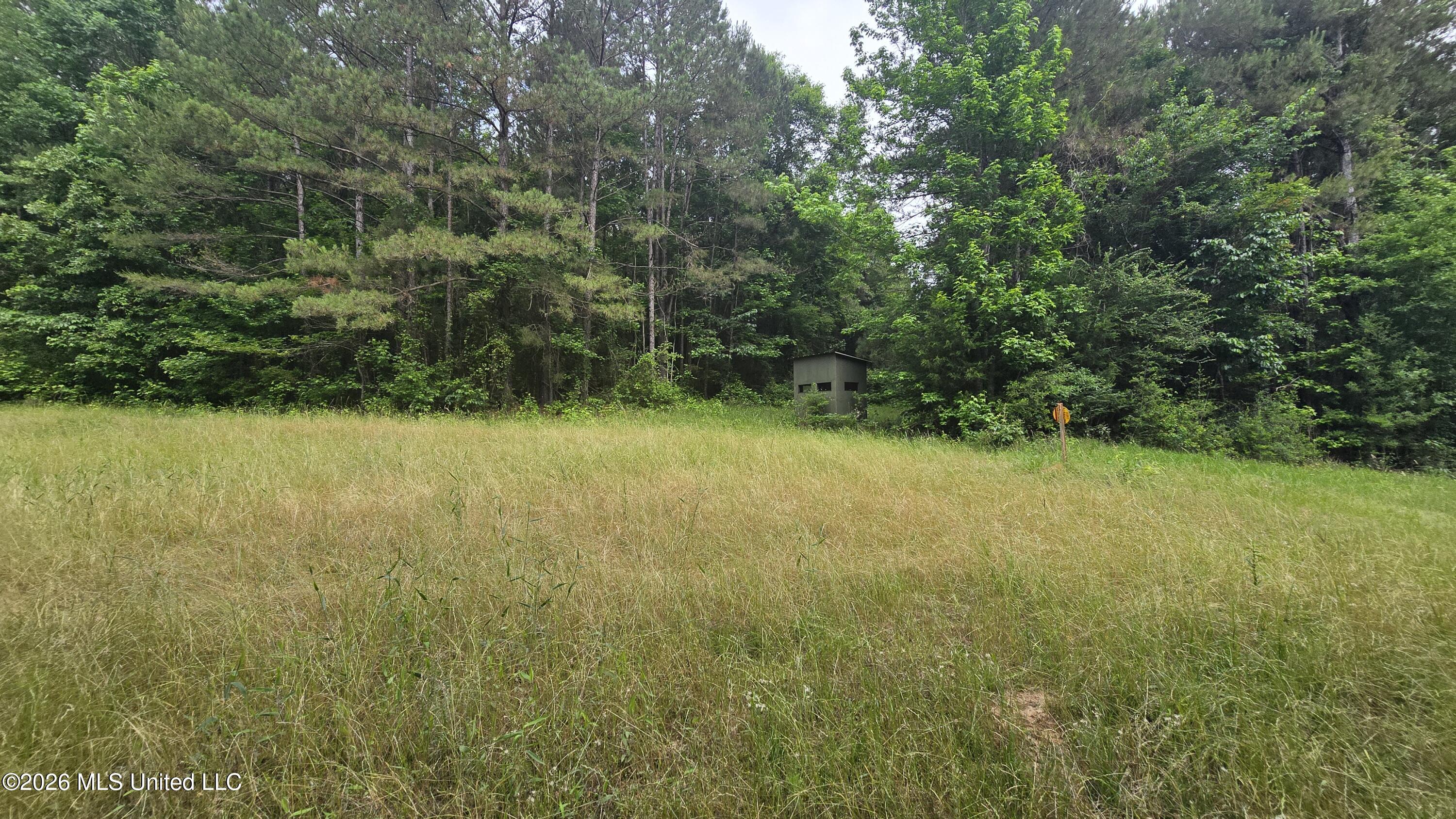 189 Co Rd 2337 Property Photo 19