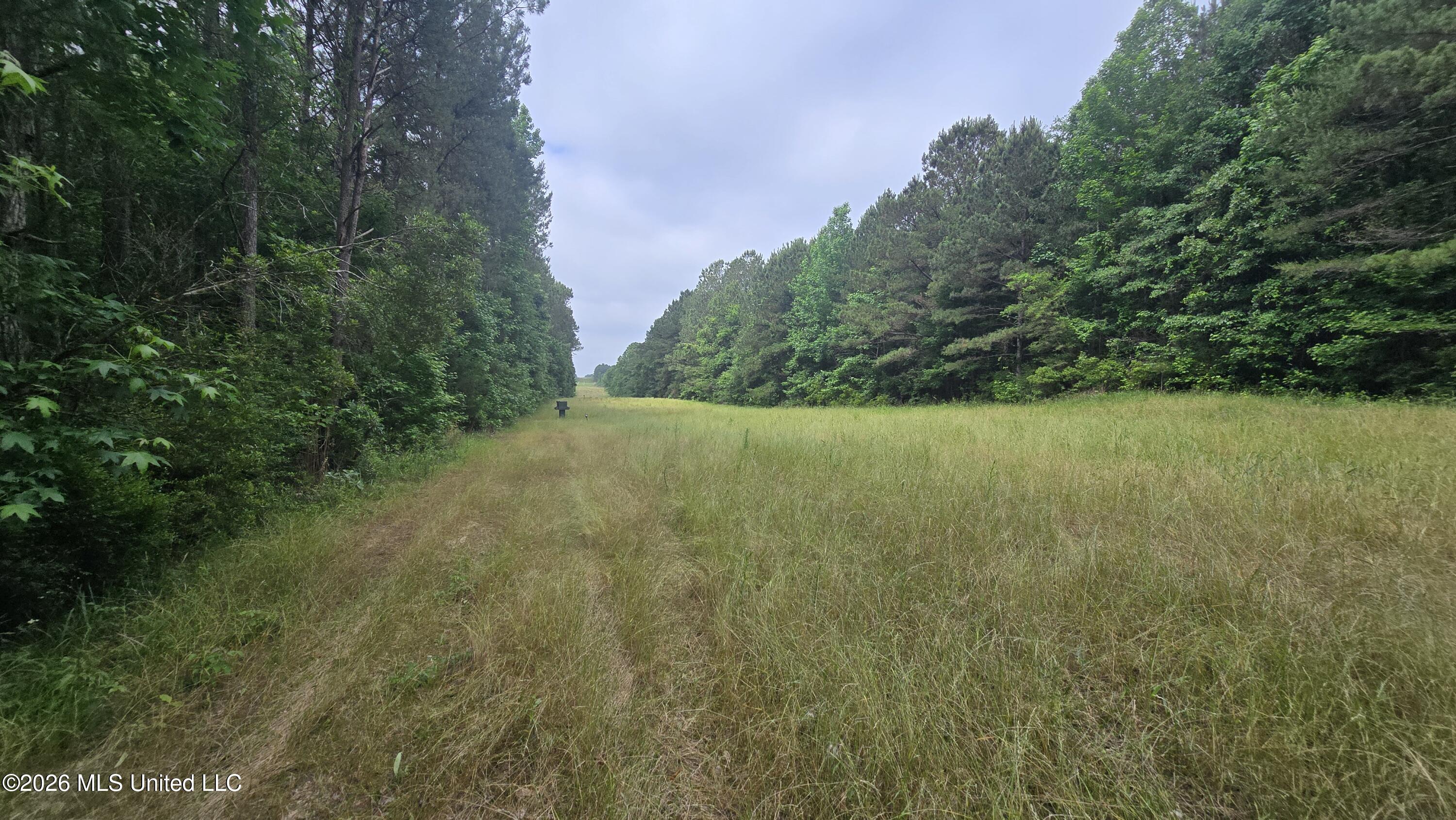 189 Co Rd 2337 Property Photo 20