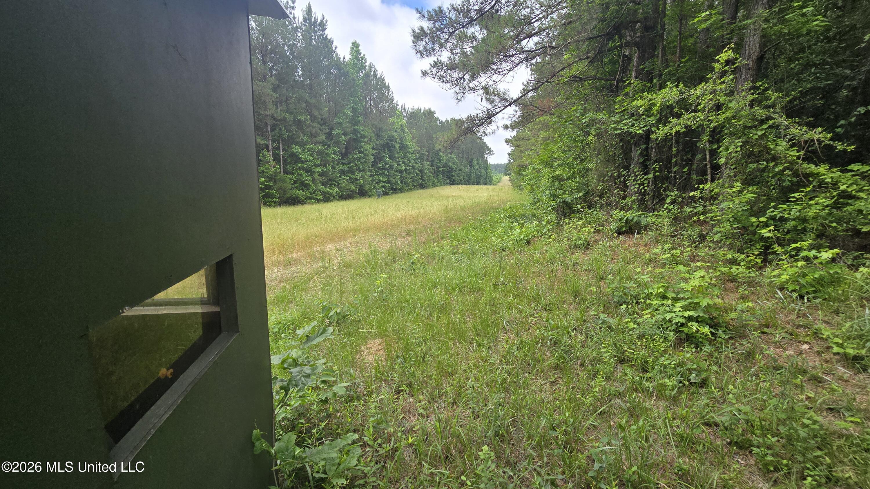 189 Co Rd 2337 Property Photo 24
