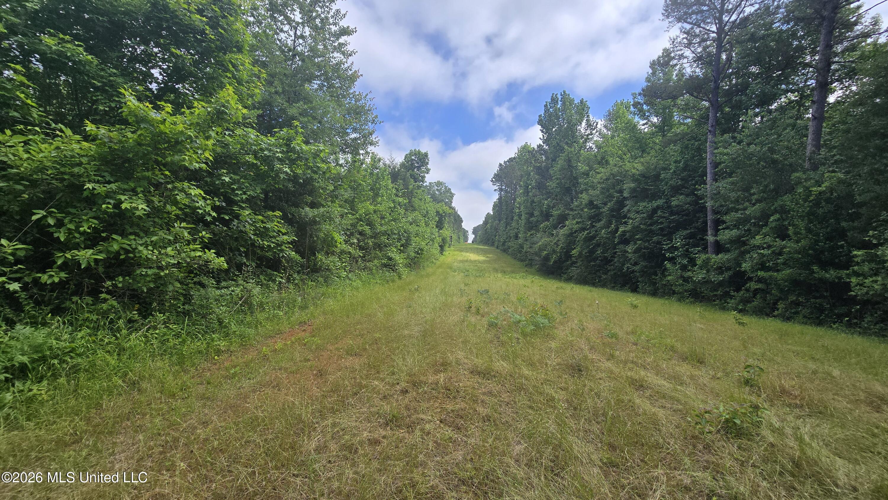 189 Co Rd 2337 Property Photo 26