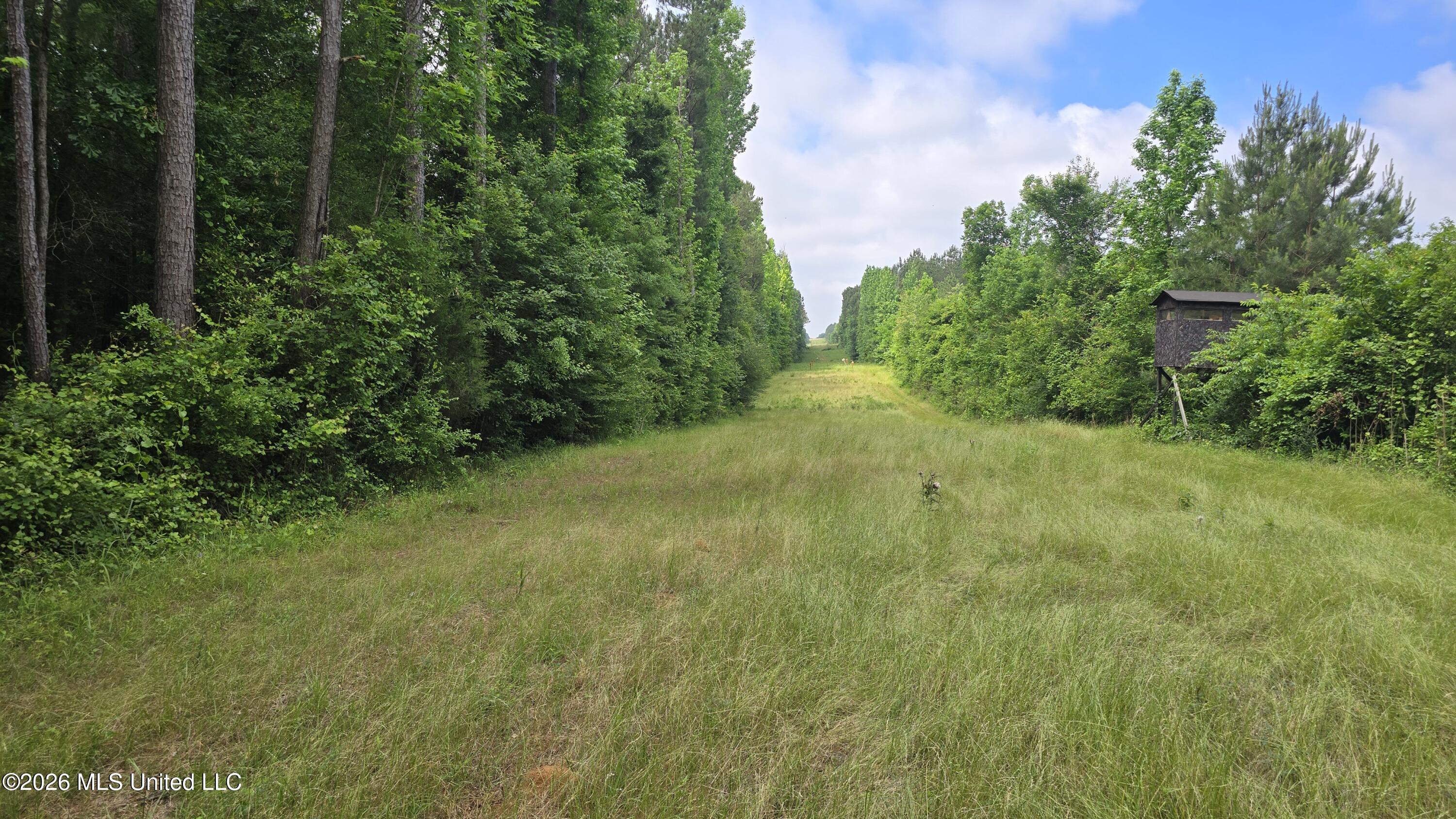 189 Co Rd 2337 Property Photo 30