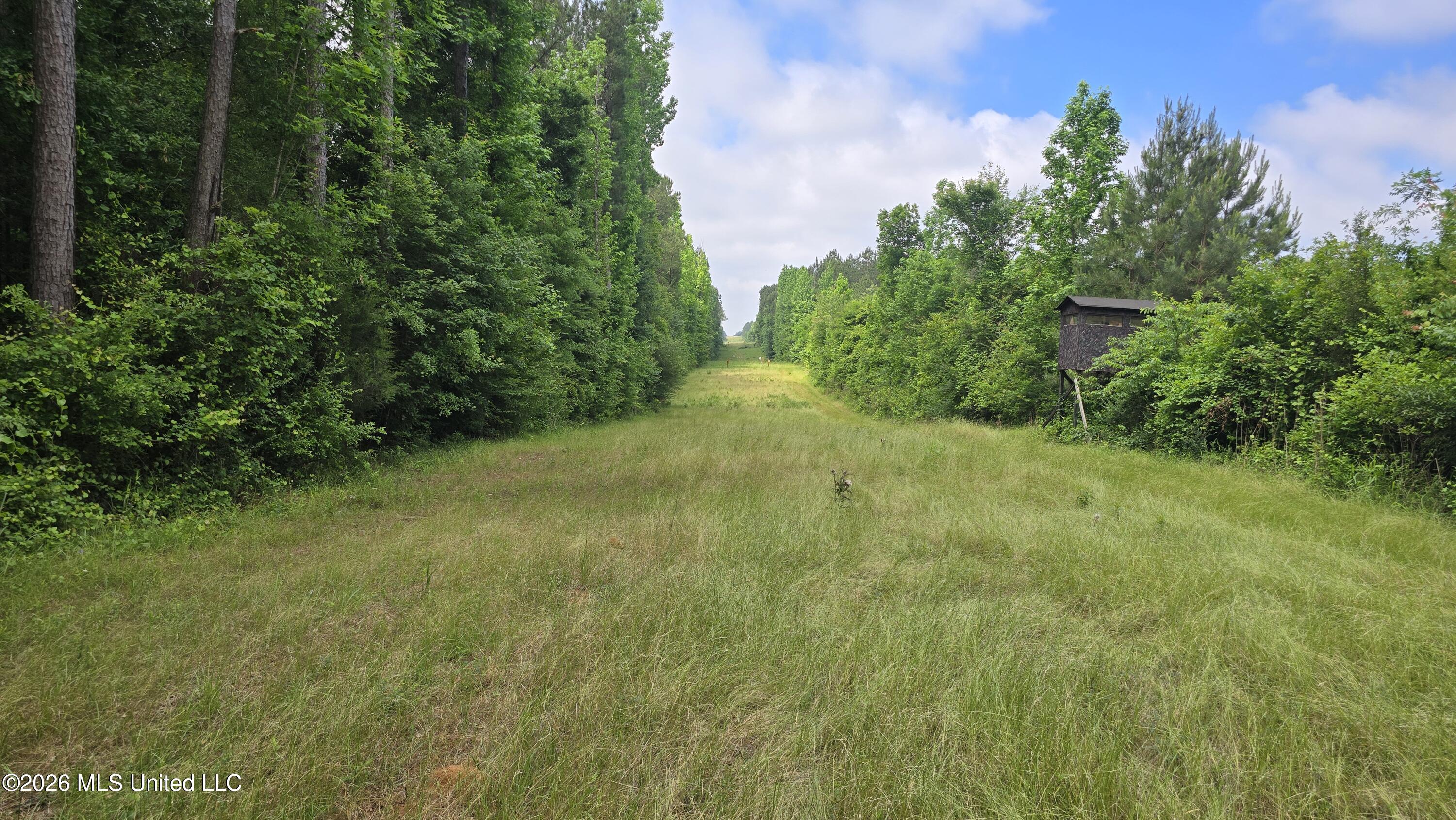 189 Co Rd 2337 Property Photo 31