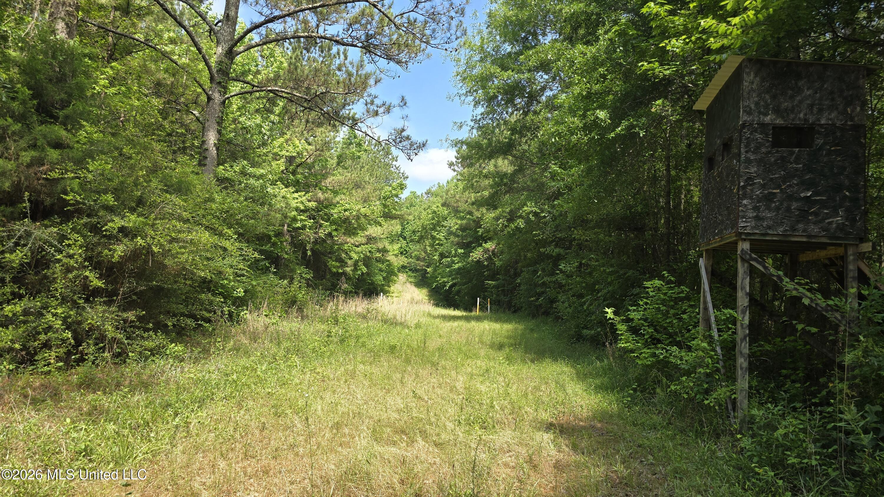 189 Co Rd 2337 Property Photo 32
