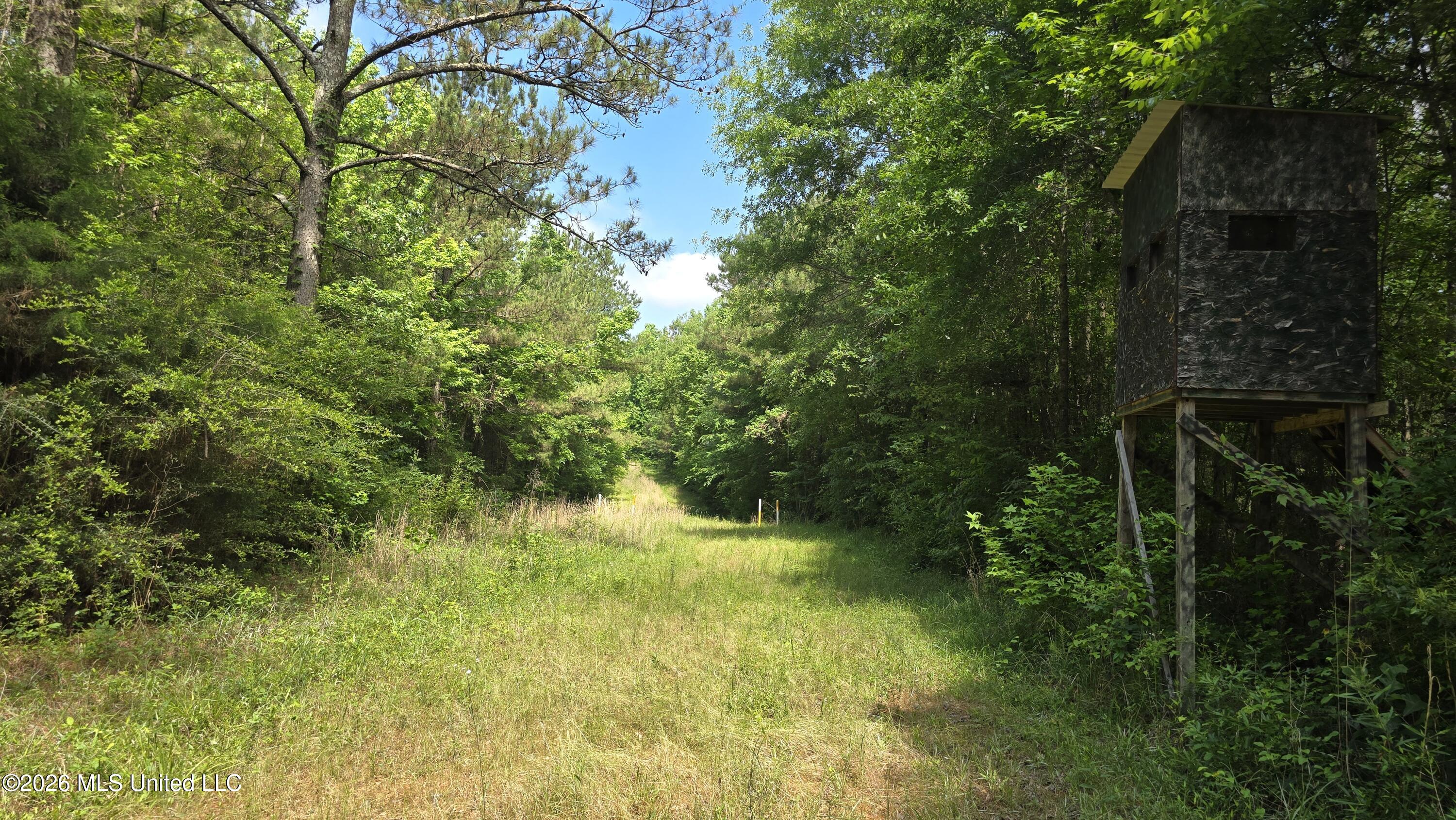 189 Co Rd 2337 Property Photo 33