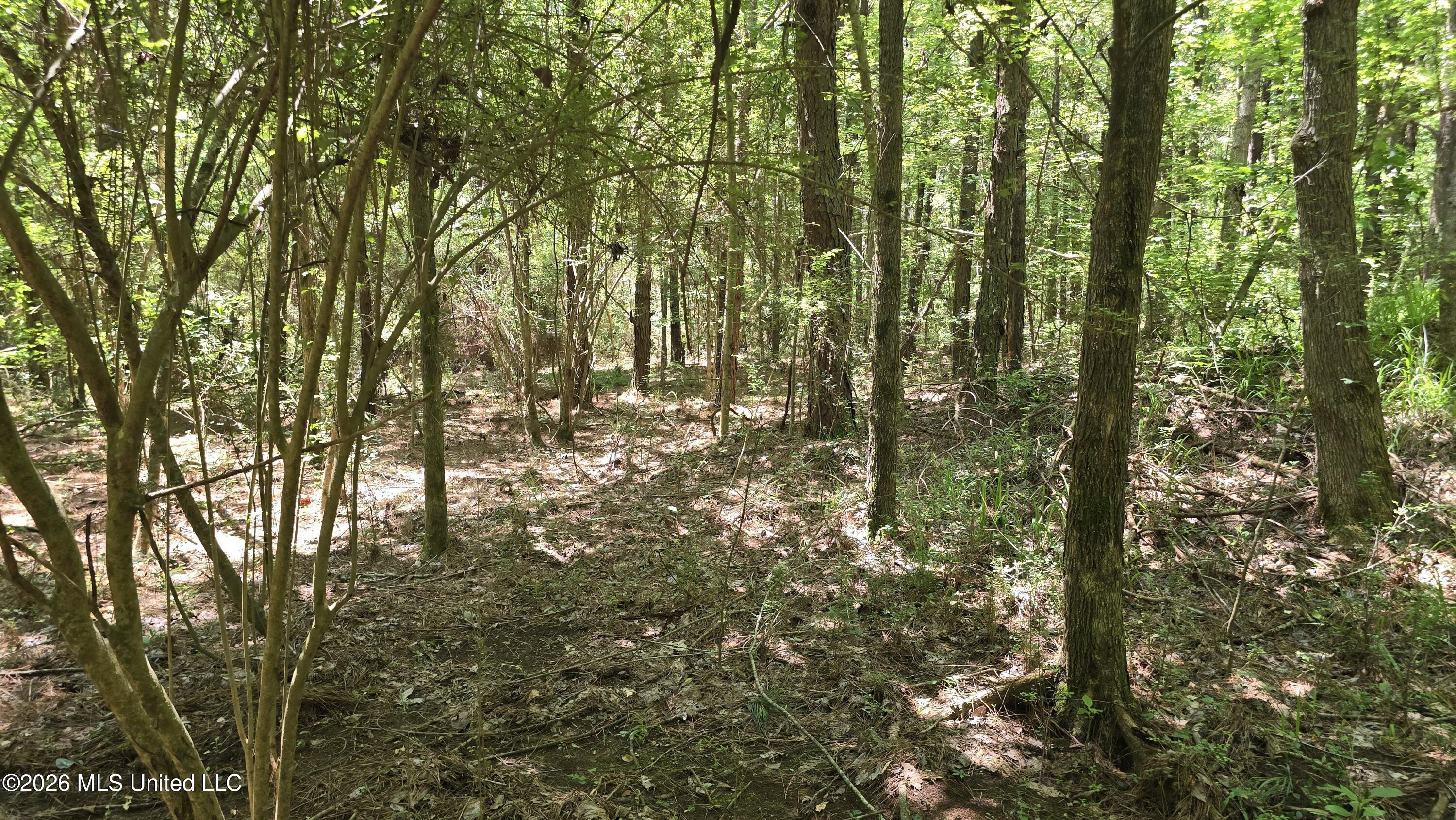 189 Co Rd 2337 Property Photo 35