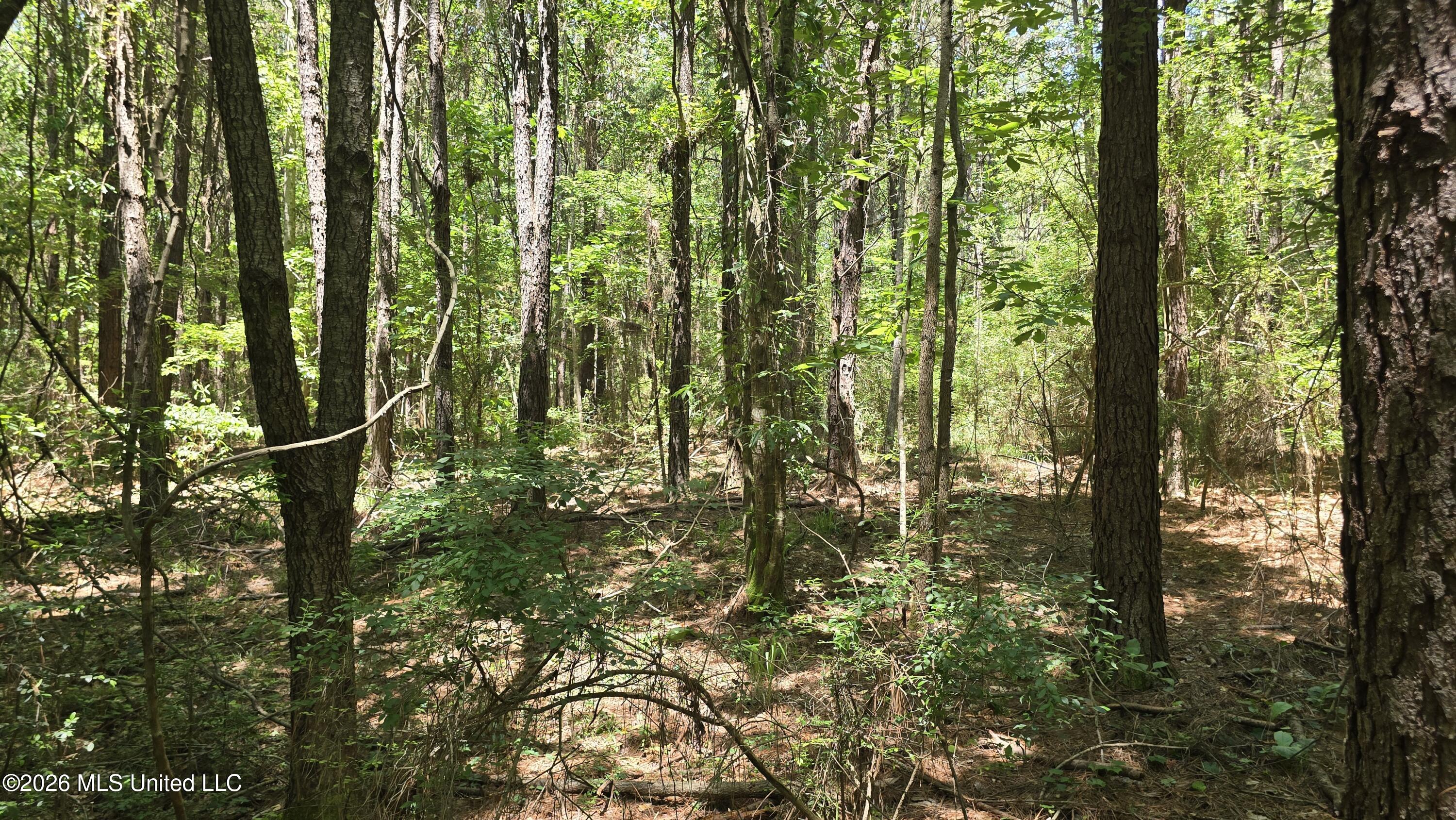 189 Co Rd 2337 Property Photo 42