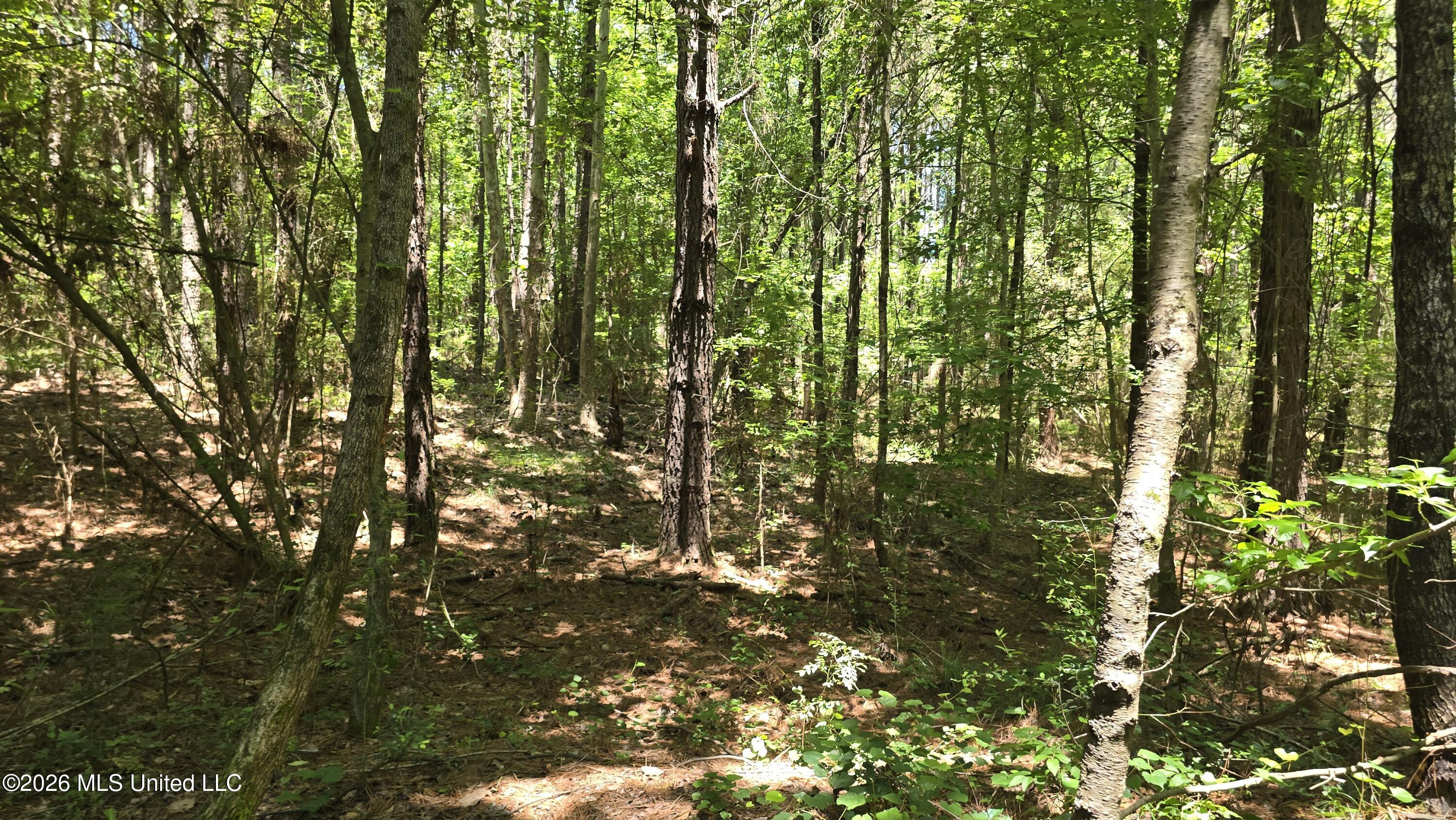 189 Co Rd 2337 Property Photo 43