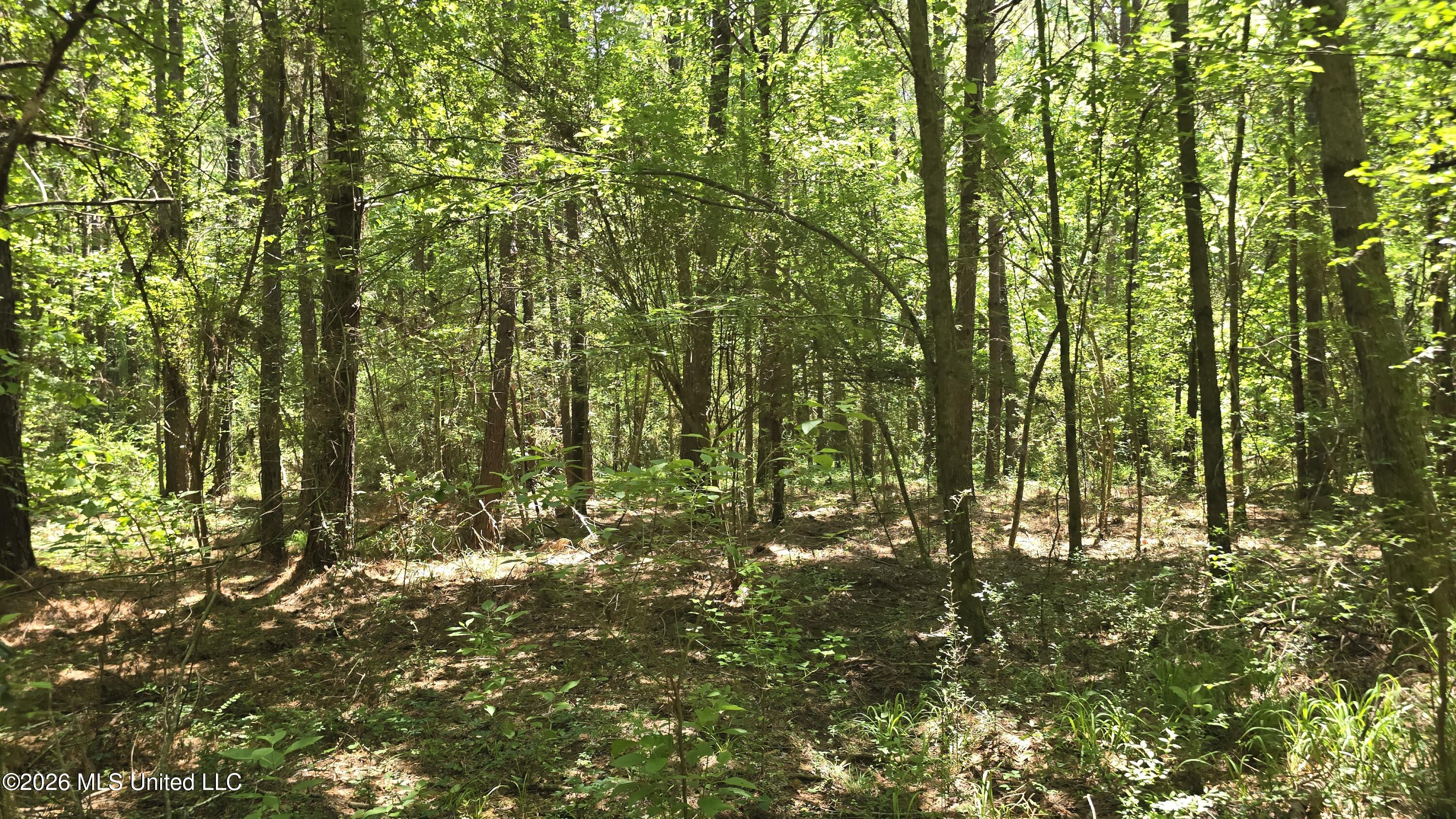 189 Co Rd 2337 Property Photo 44