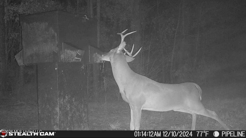 189 Co Rd 2337 Property Photo 57