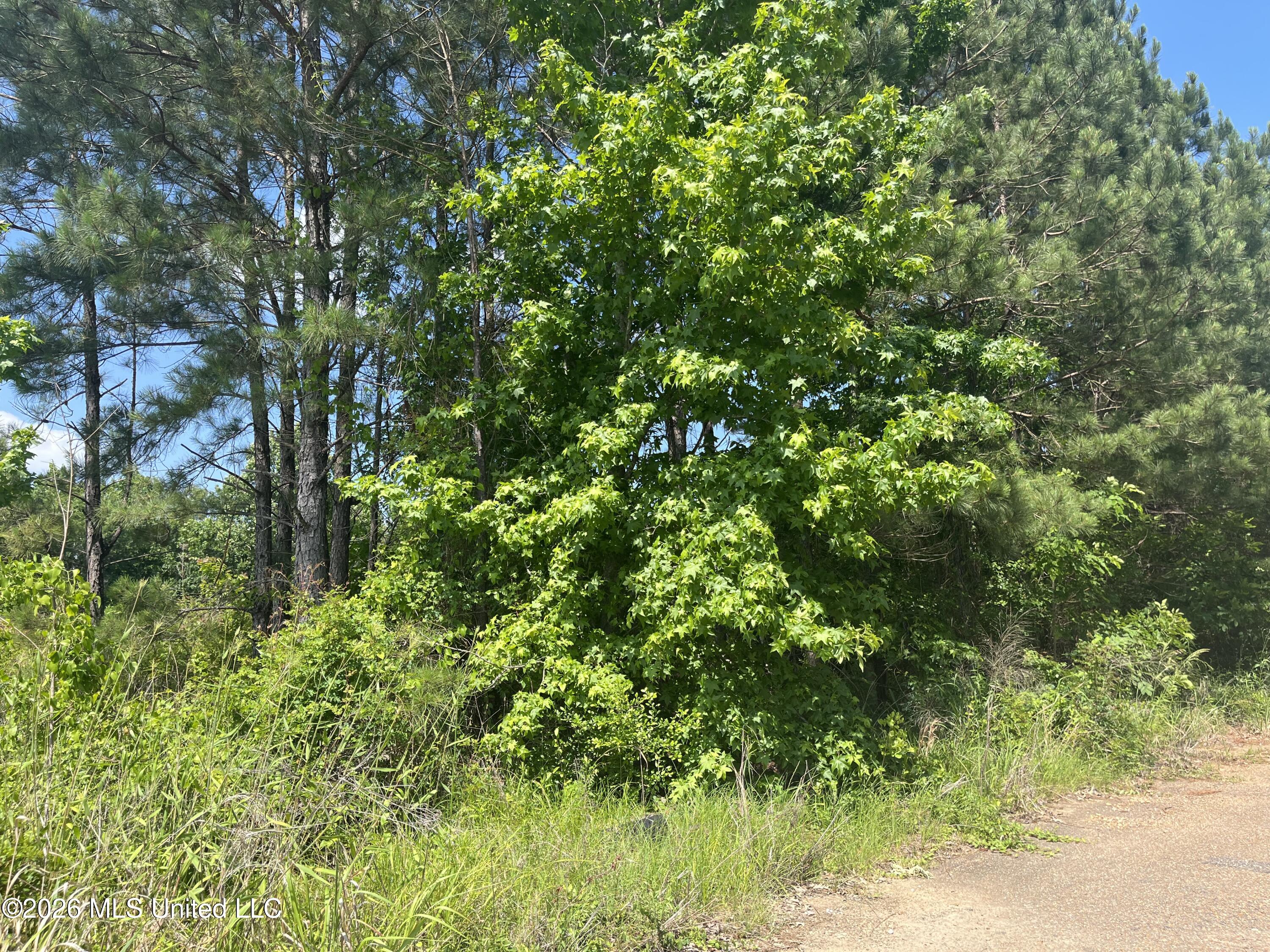 College Hill Drive Property Photo 3