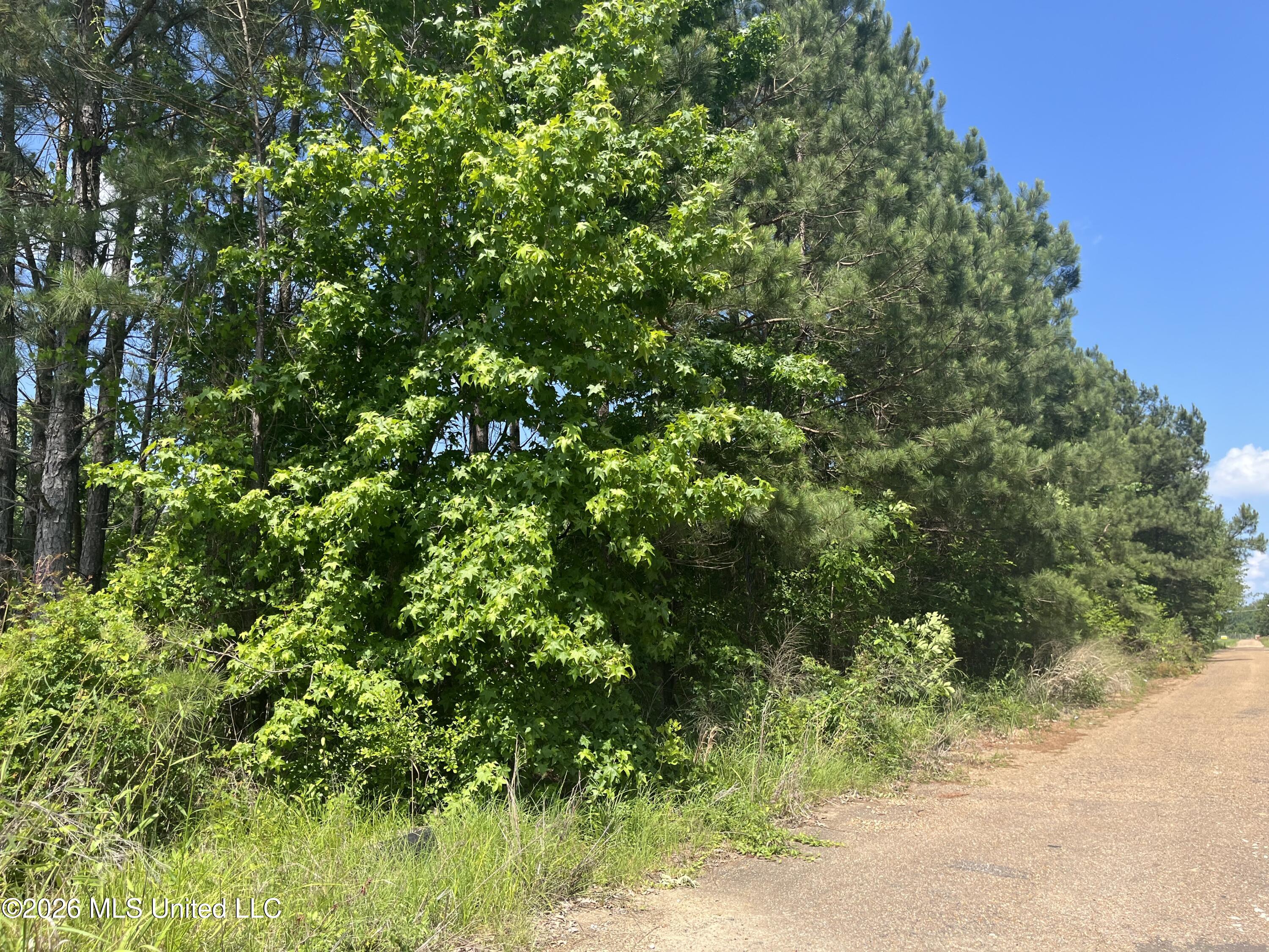 College Hill Drive Property Photo 4