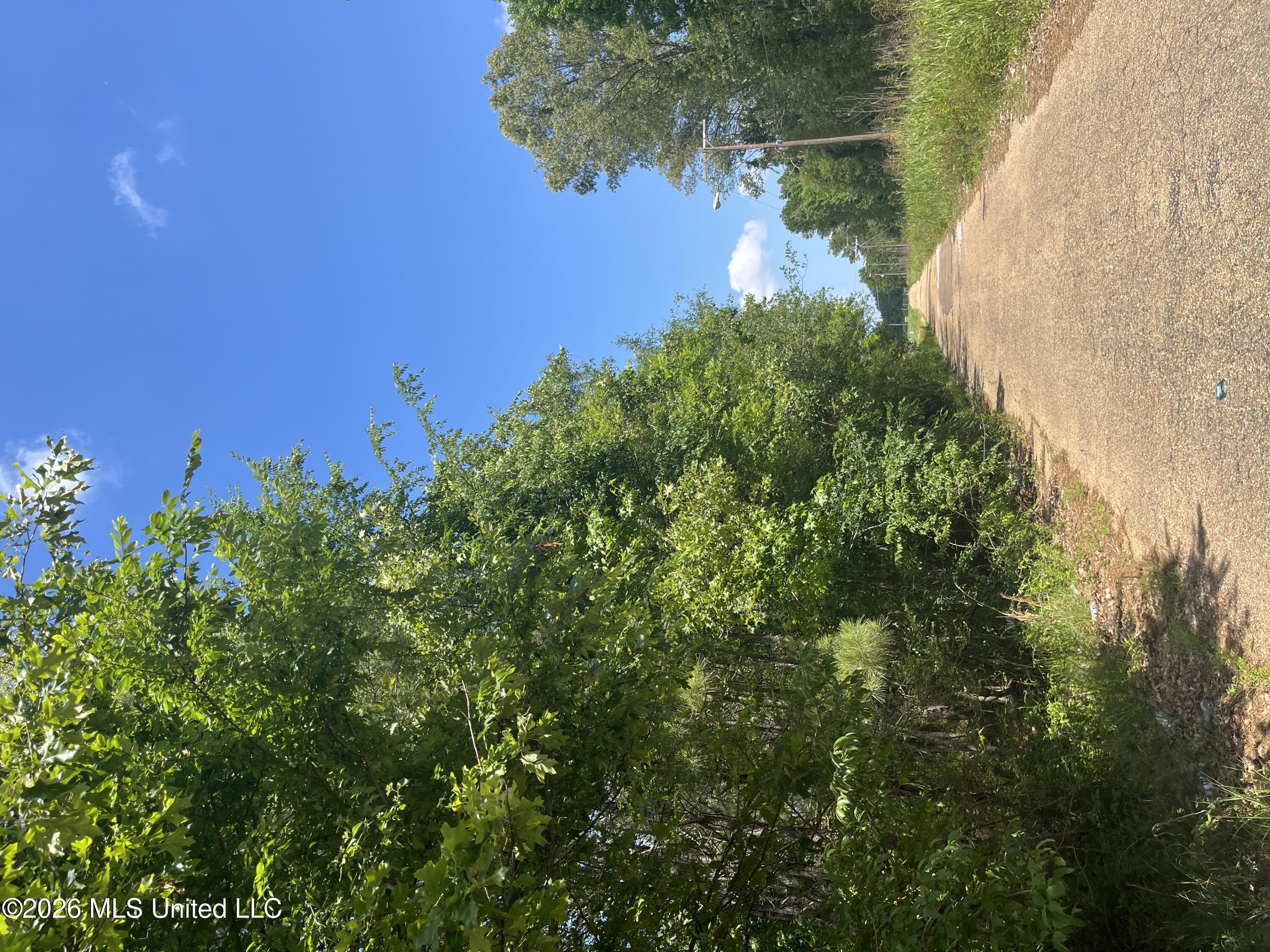 College Hill Drive Property Photo 6