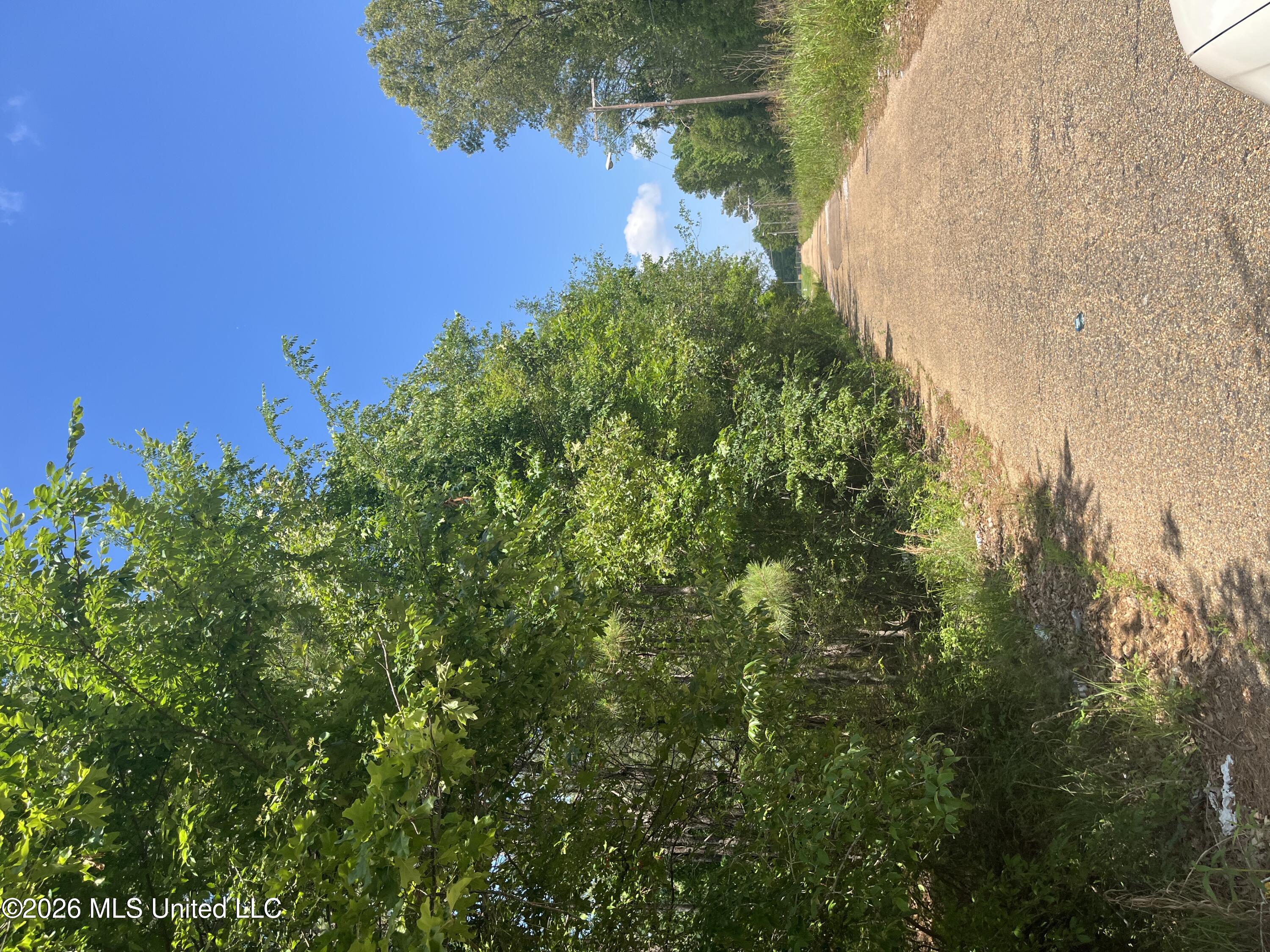 College Hill Drive Property Photo 12