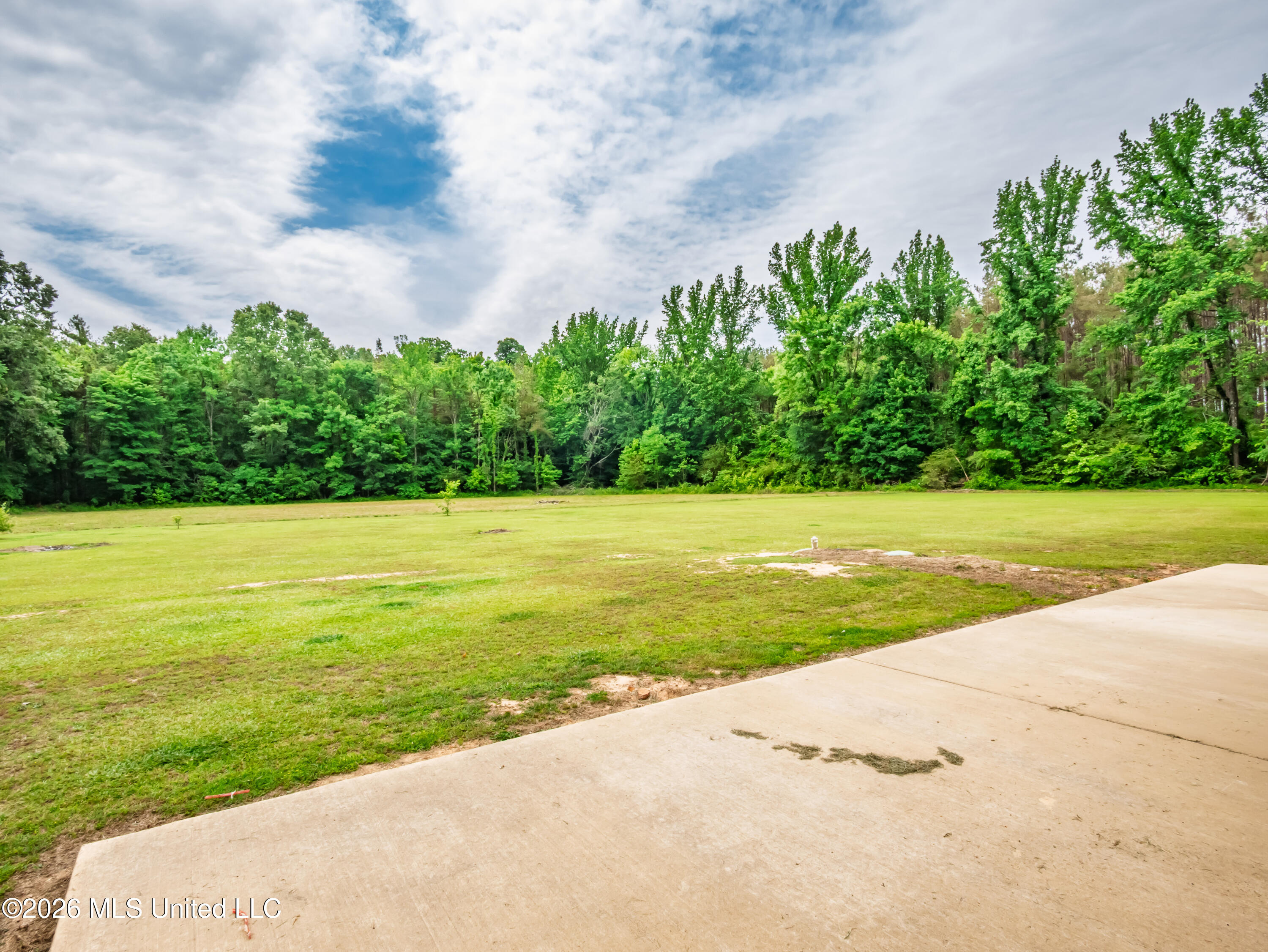 608 County Road 428 Property Photo 25