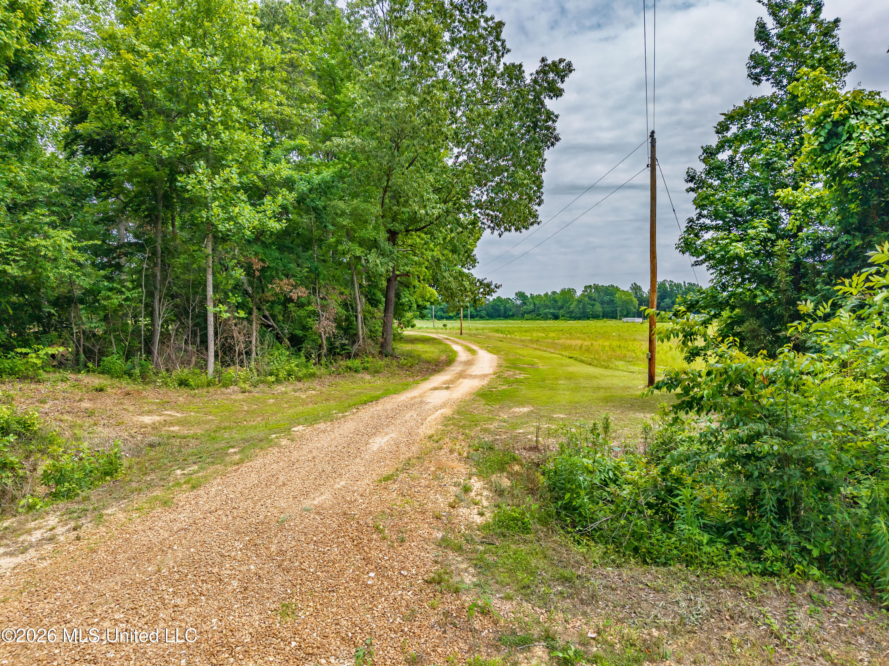 608 County Road 428 Property Photo 65