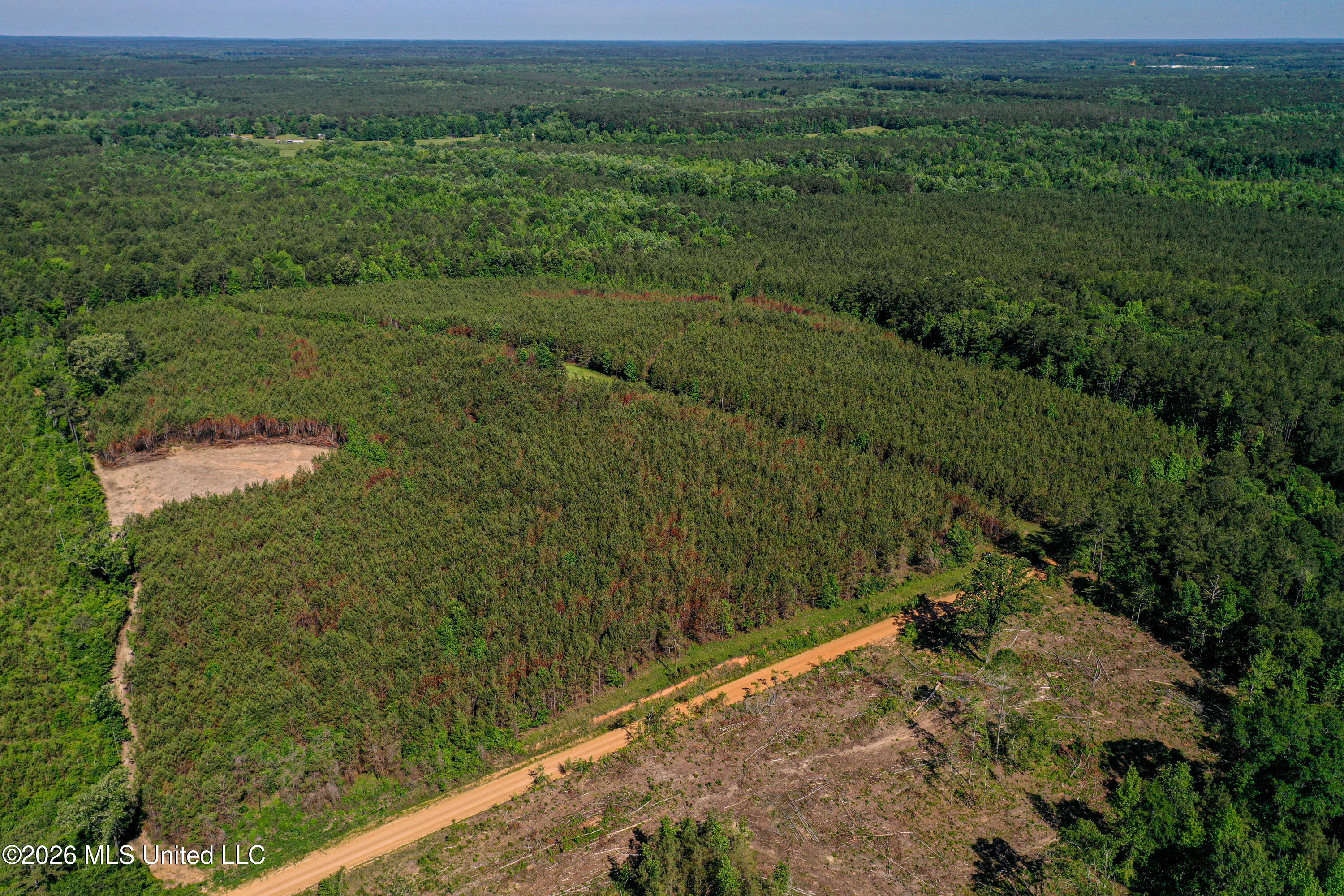 Triplett Property Photo 1