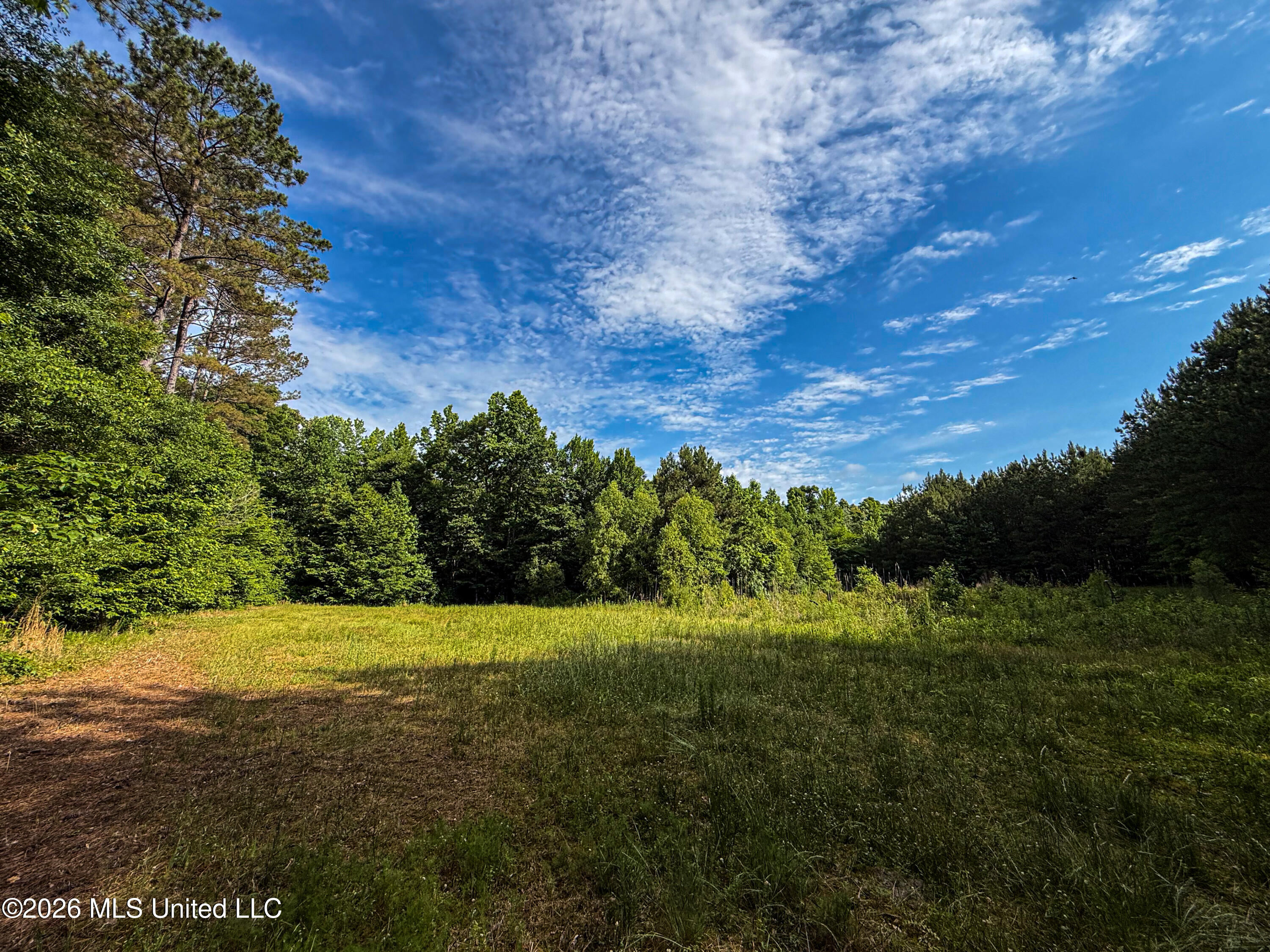 Triplett Property Photo 7