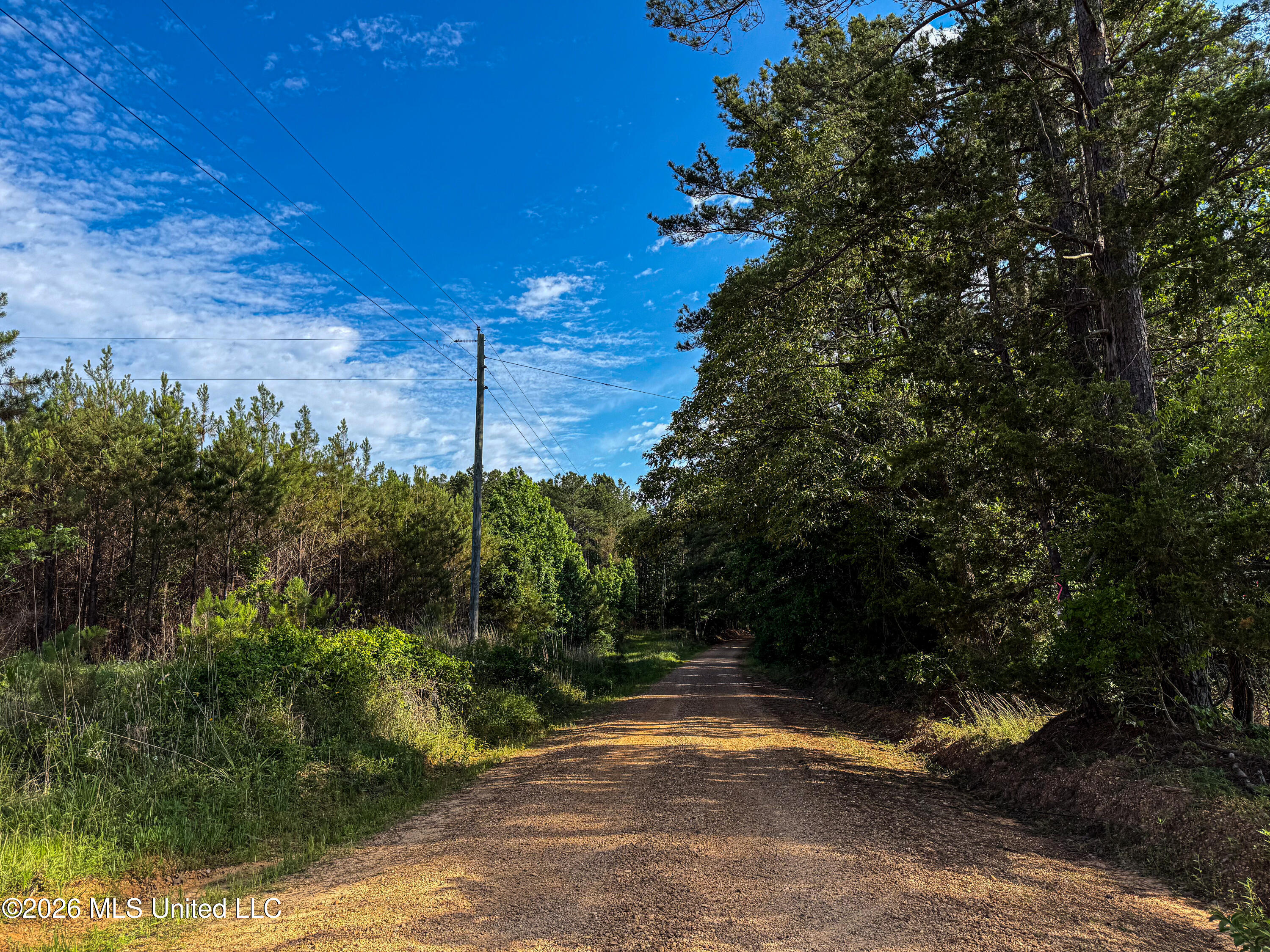 Triplett Property Photo 11