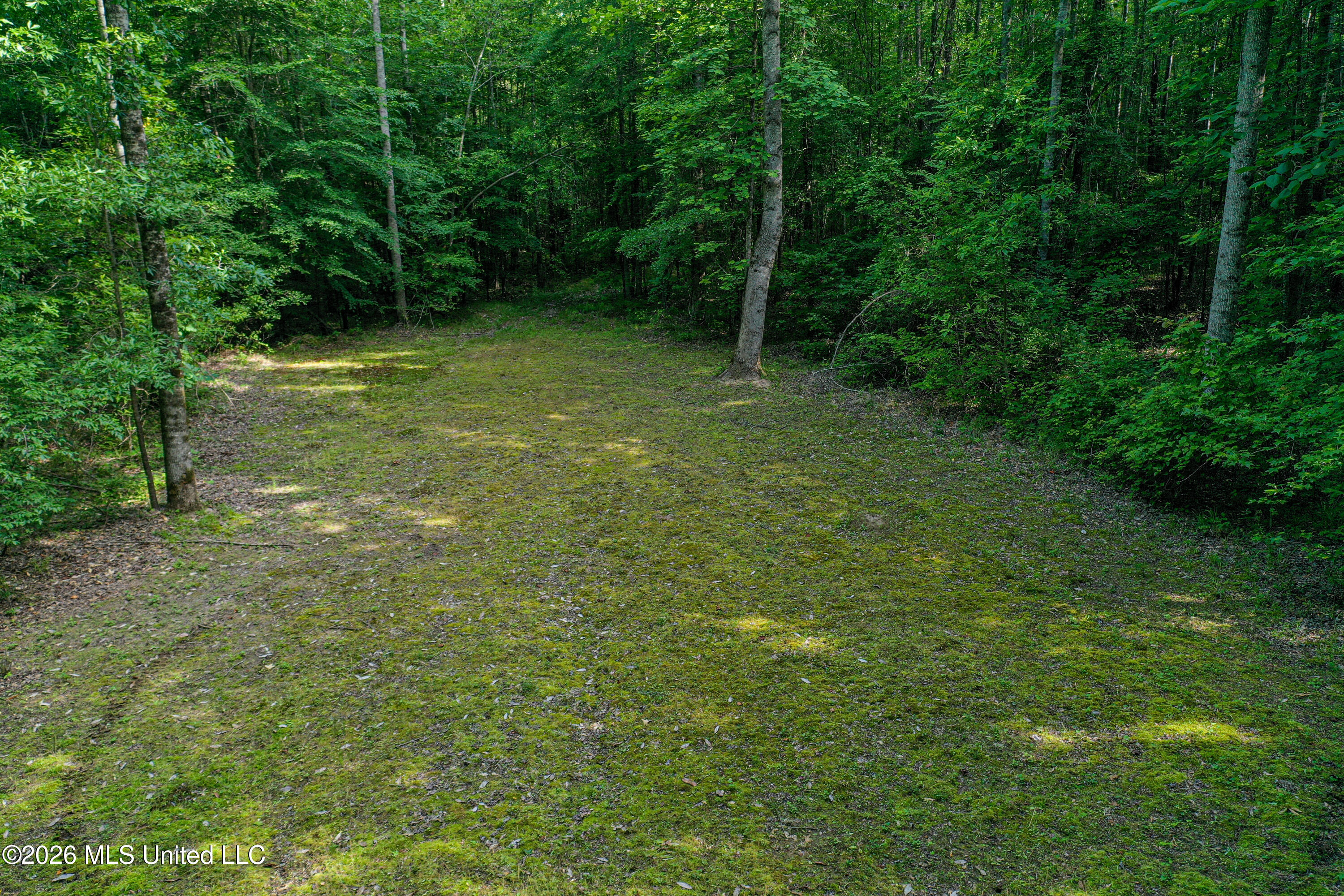 Triplett Property Photo 12
