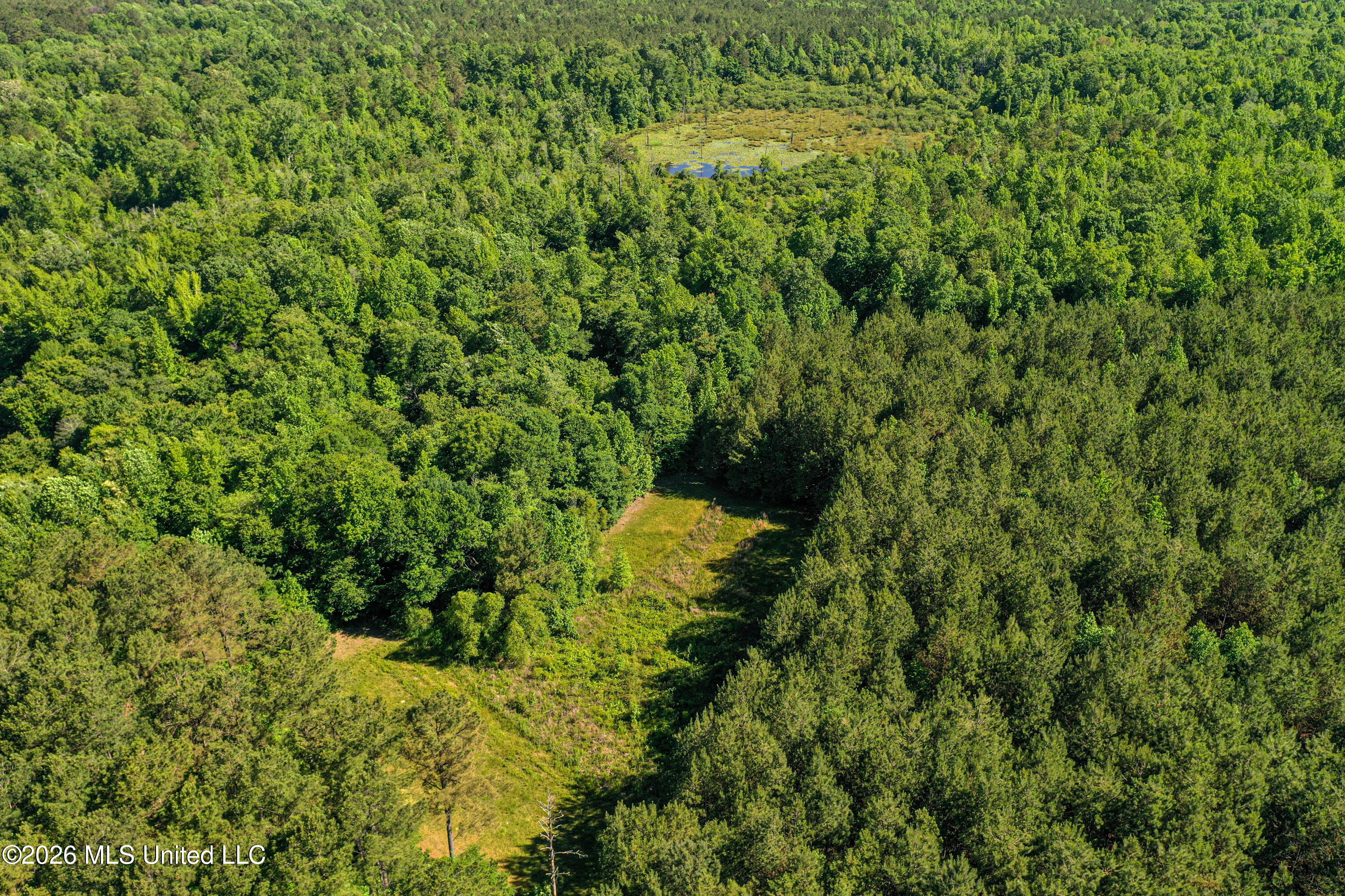 Triplett Property Photo 18