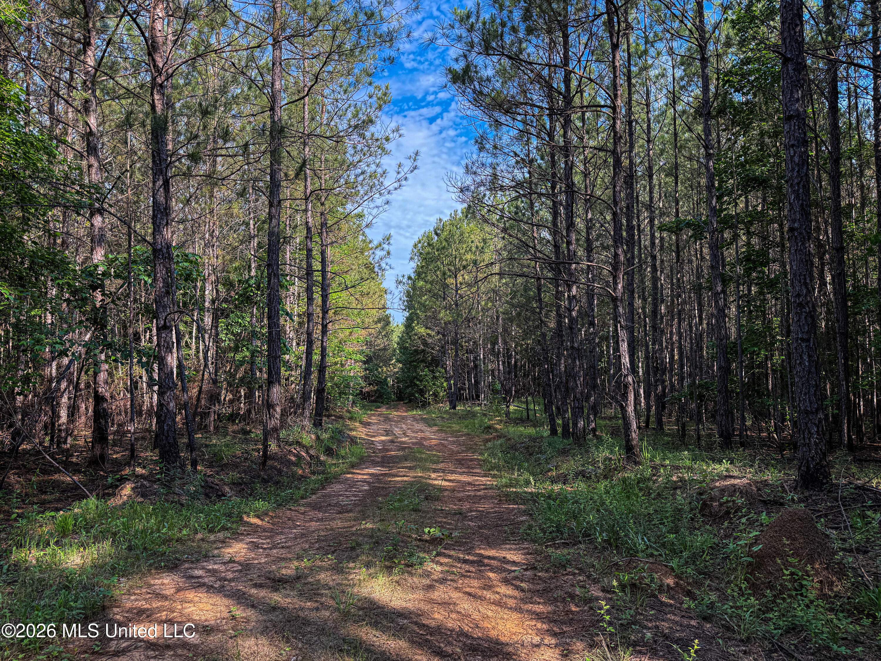 Triplett Property Photo 20