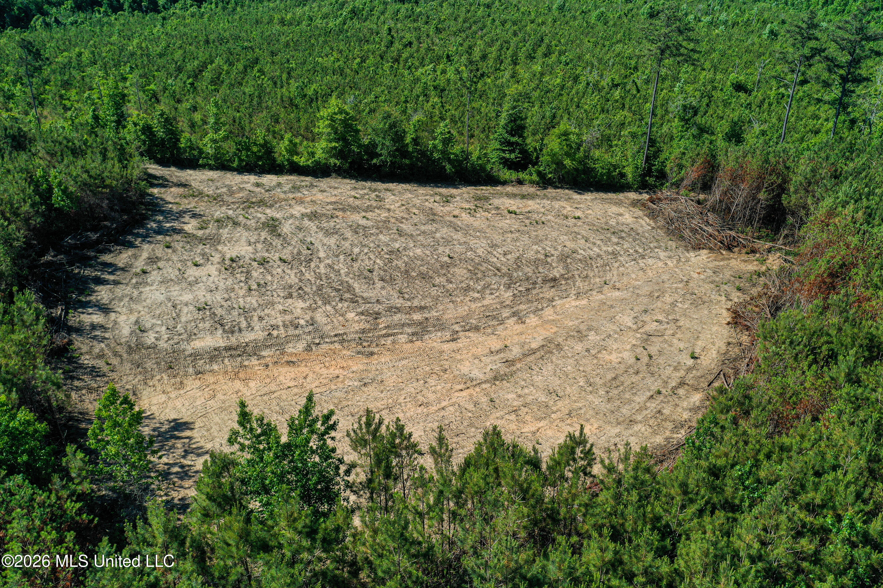 Triplett Property Photo 23