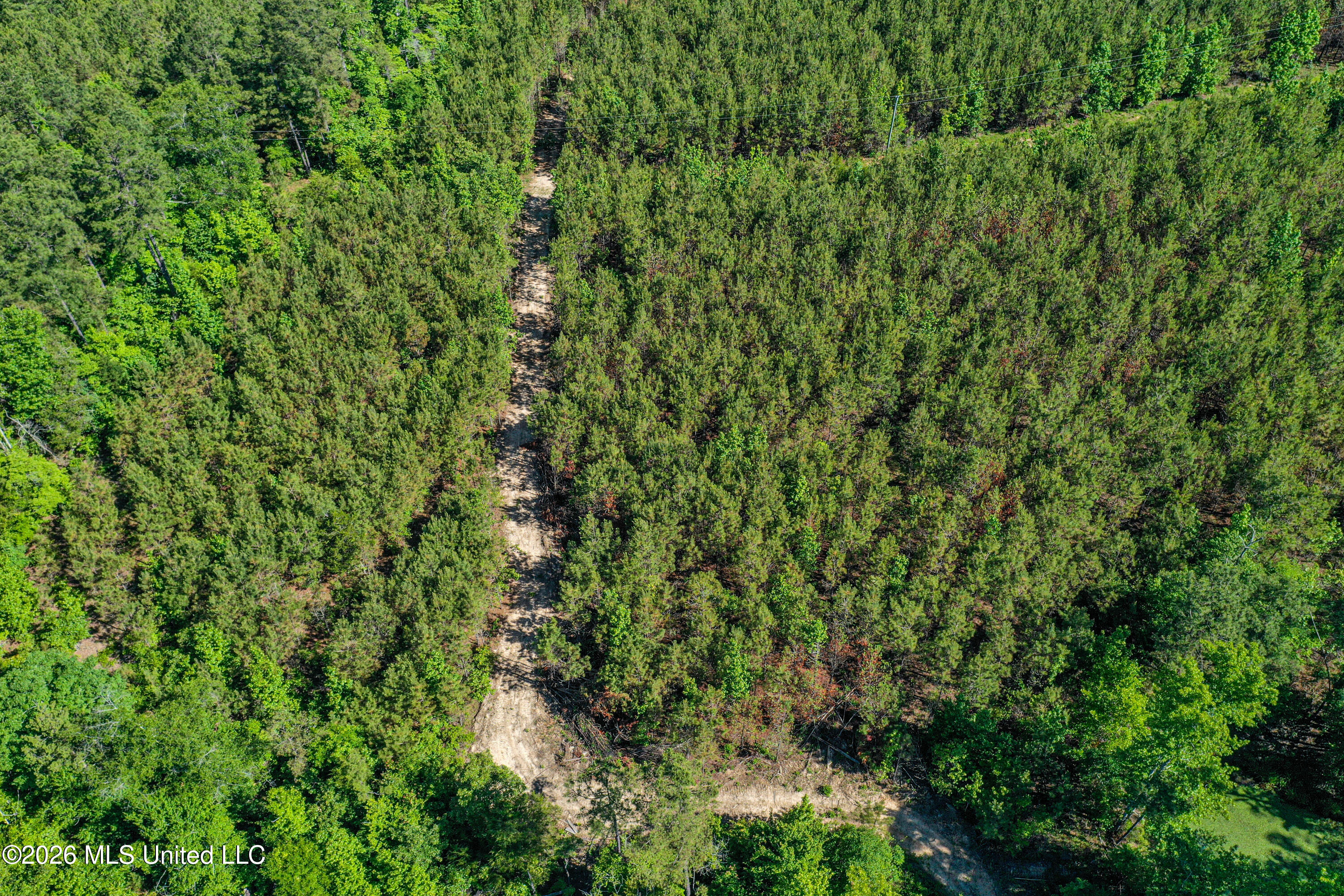 Triplett Property Photo 25