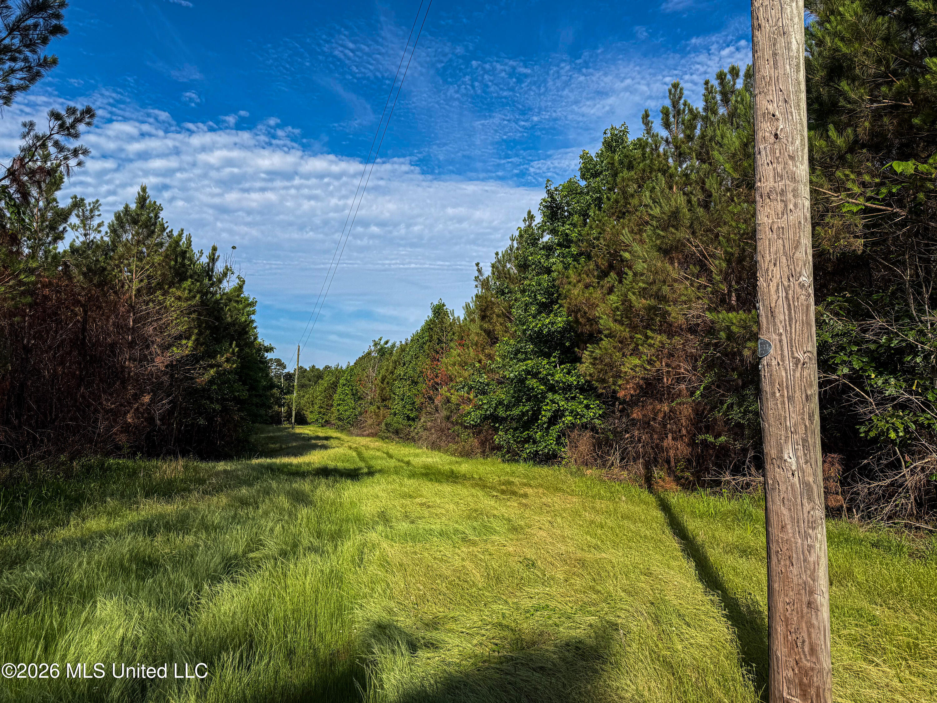 Triplett Property Photo 26